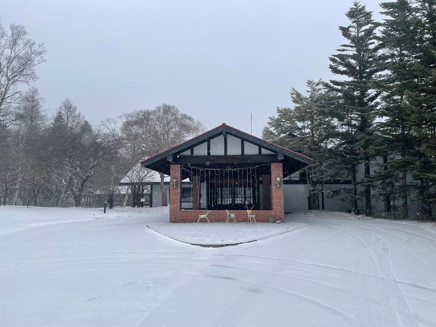 写真 2025-12-26 14 40 52.jpg