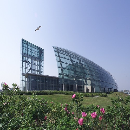 Kế hoạch Aquamarine Exterior Daytime Bird