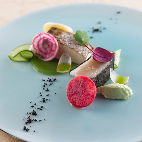 Spanish mackerel micuit