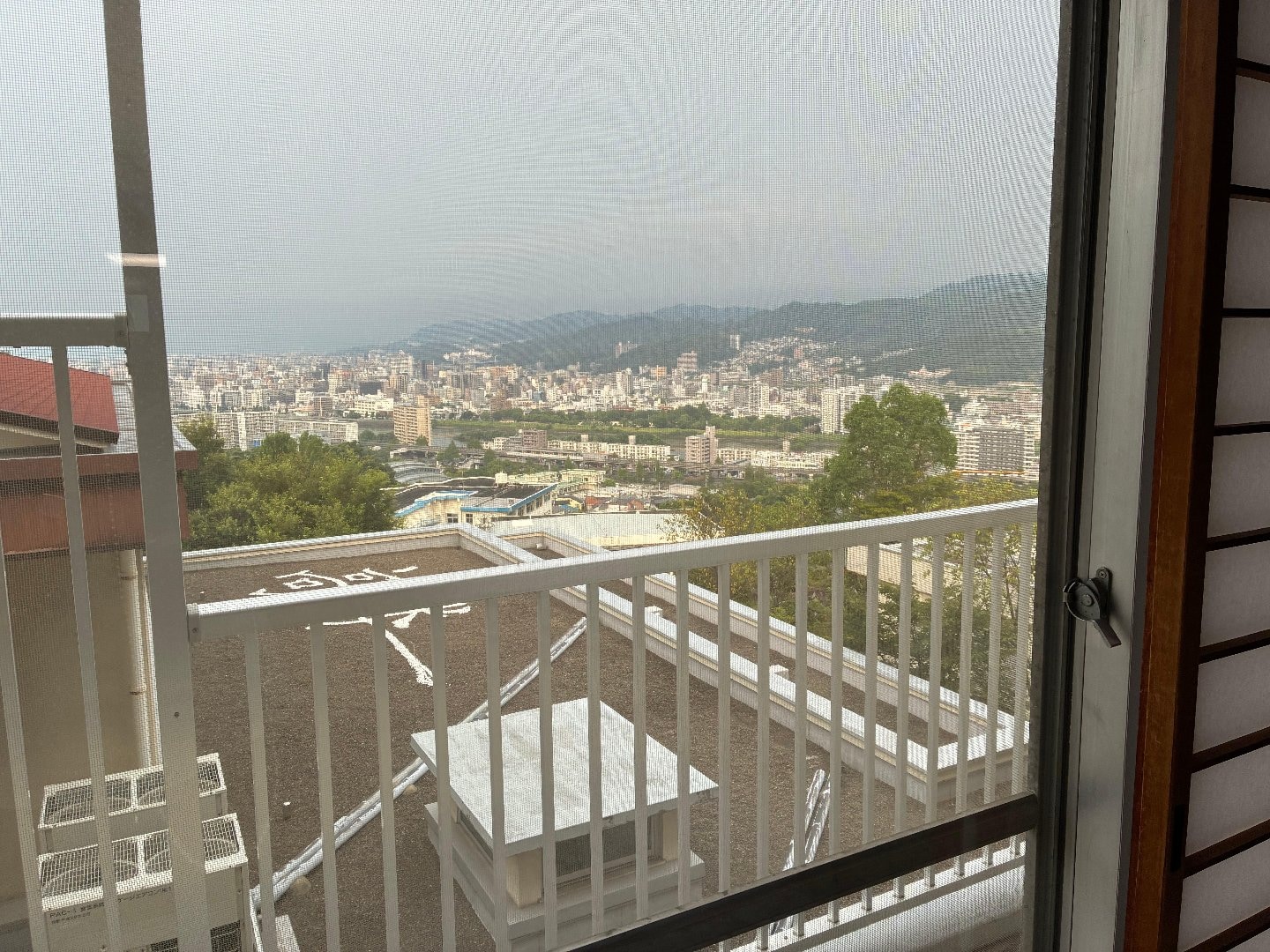 IMG_8875.jpeg