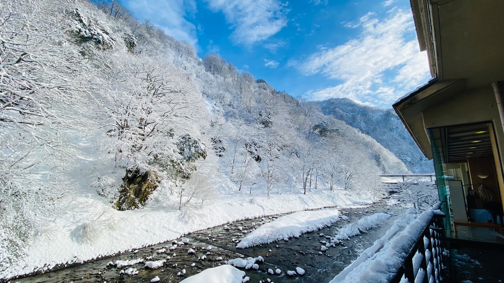 【見ごろは12月中旬～3月中旬】晴れた日は雪をかぶった木々がキラキラと輝いてまぶしいぐらいです　