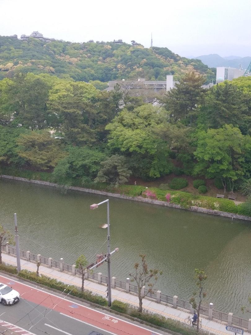 IMG07872.jpg