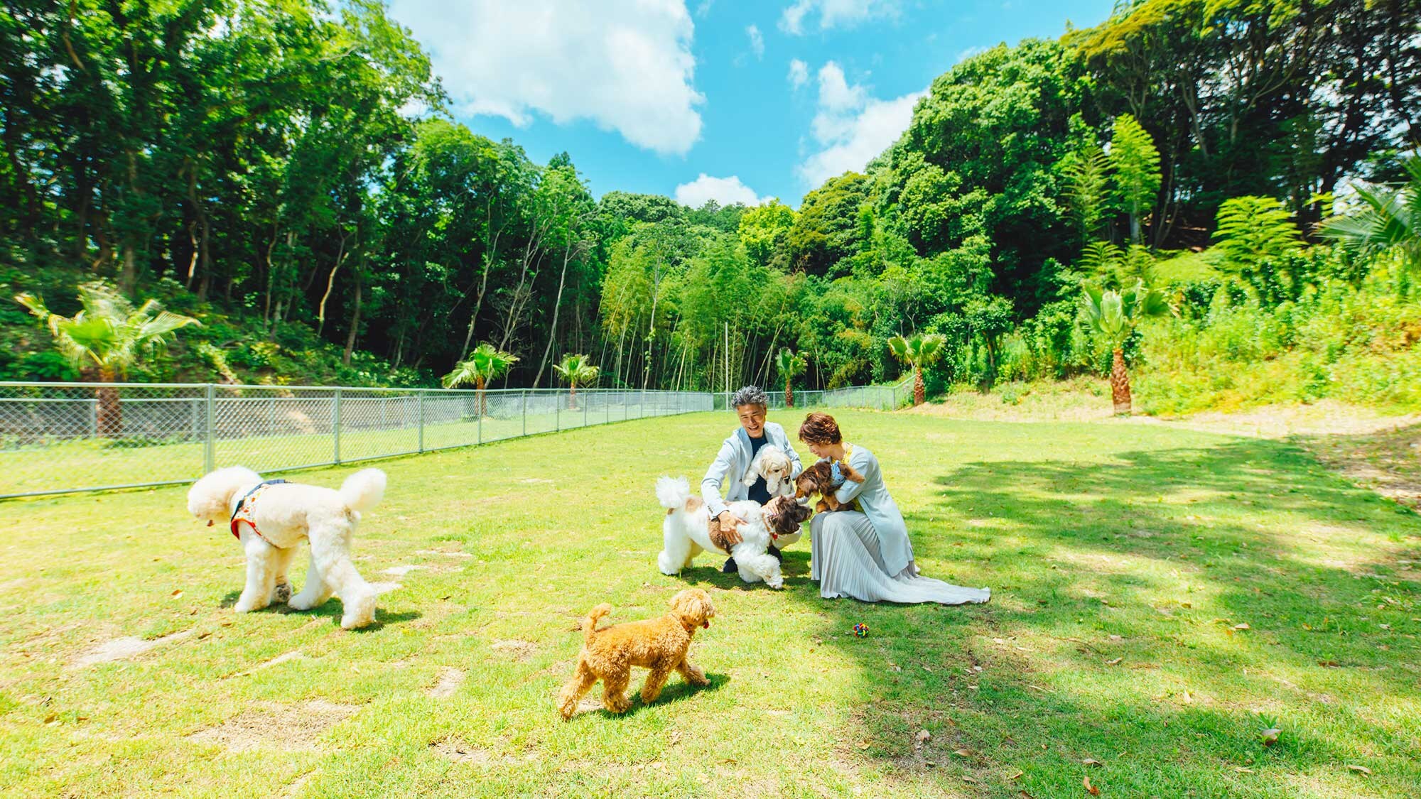[Dog run] There are separate areas for large dogs, medium-sized dogs, and small dogs, so you can play safely.