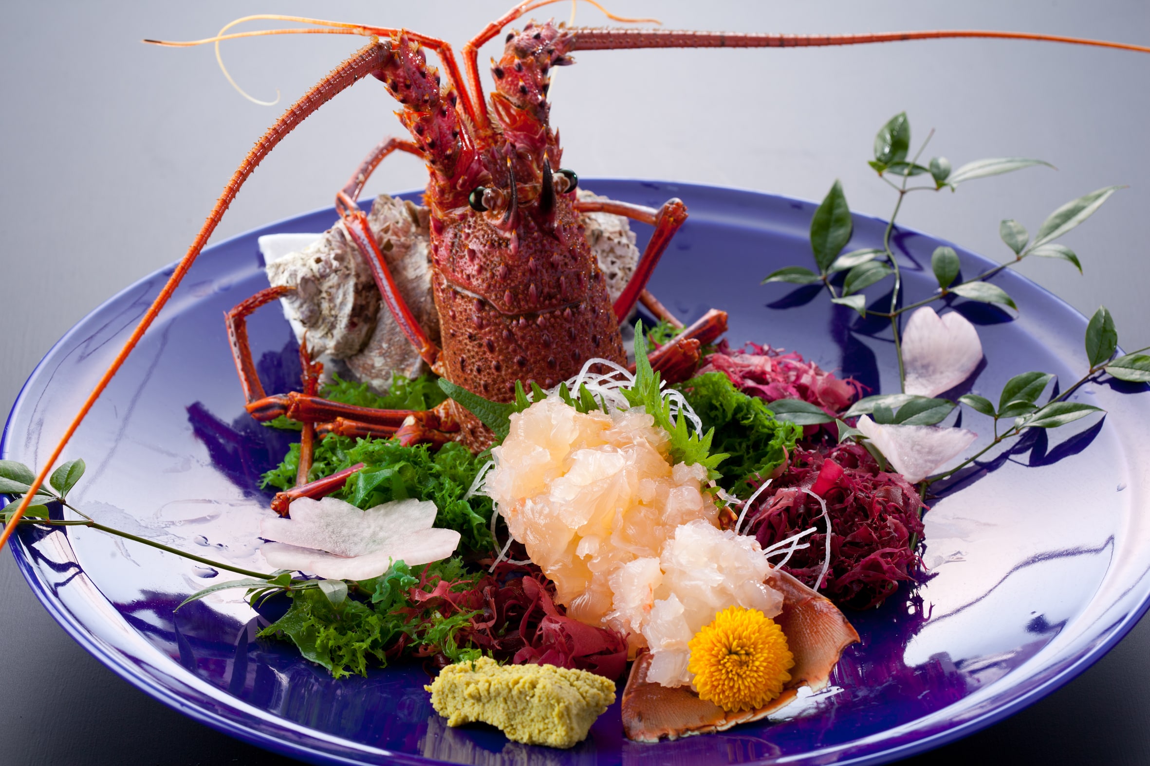 Plump live spiny lobster sashimi