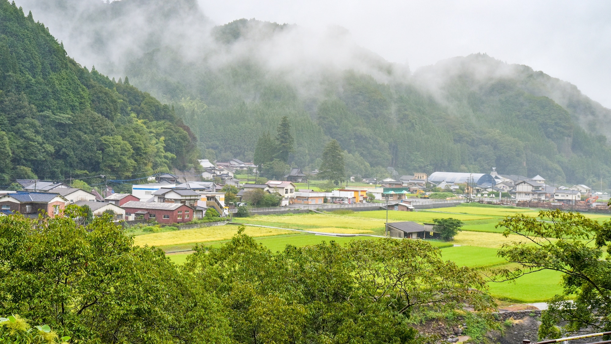* You can overlook nature from the accommodation building.