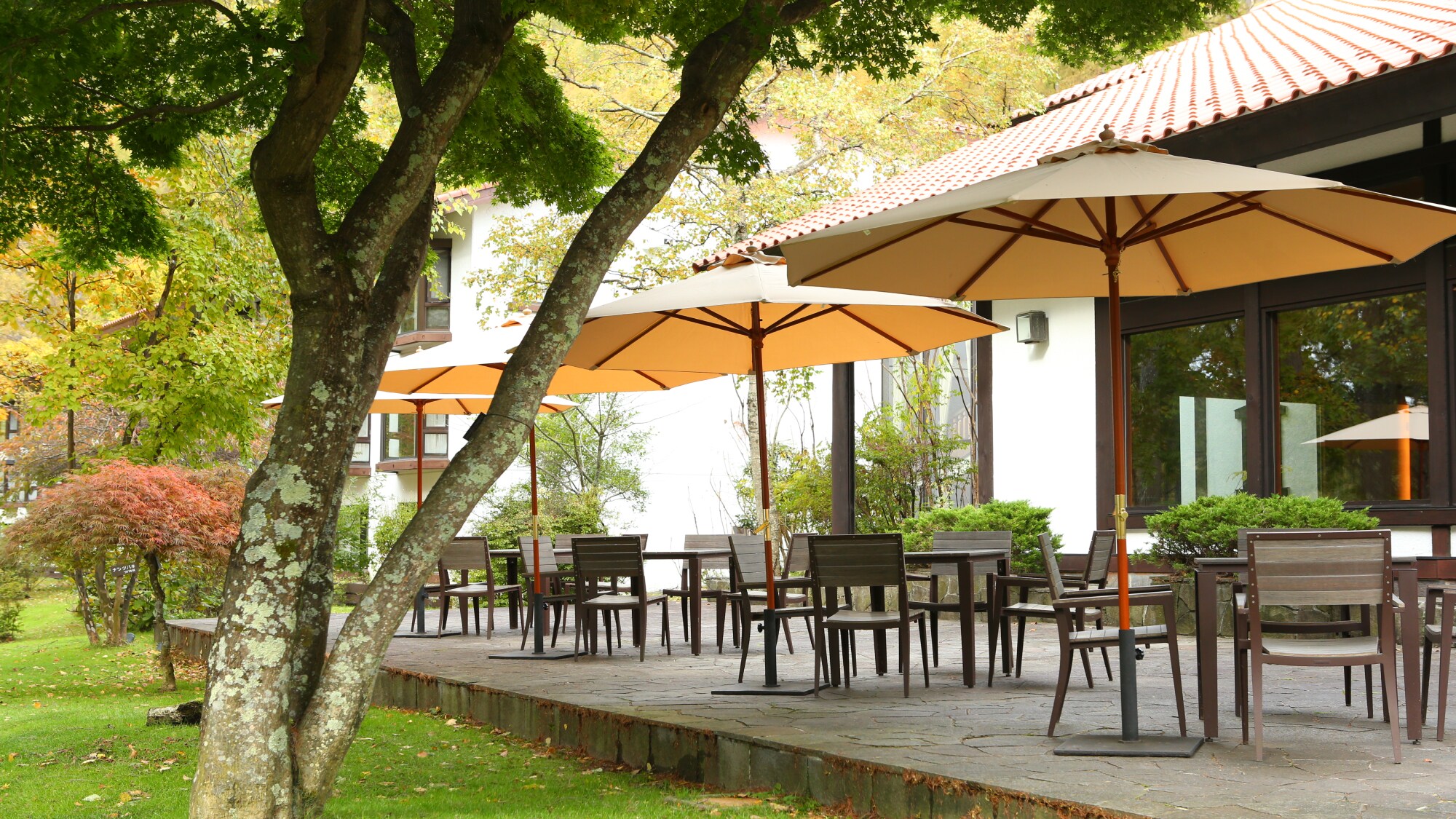 Autumn lounge terrace