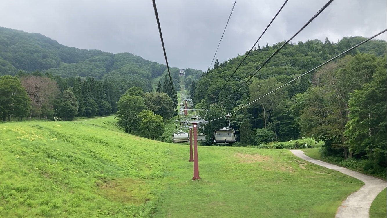 IMG_0532.png