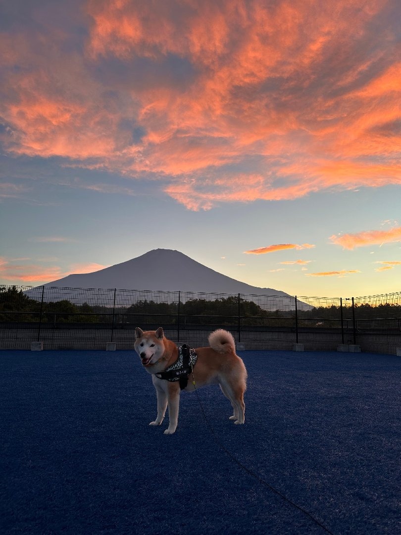 F4BE6B8D-A4FC-4438-95F5-190A06FCD19E.jpeg