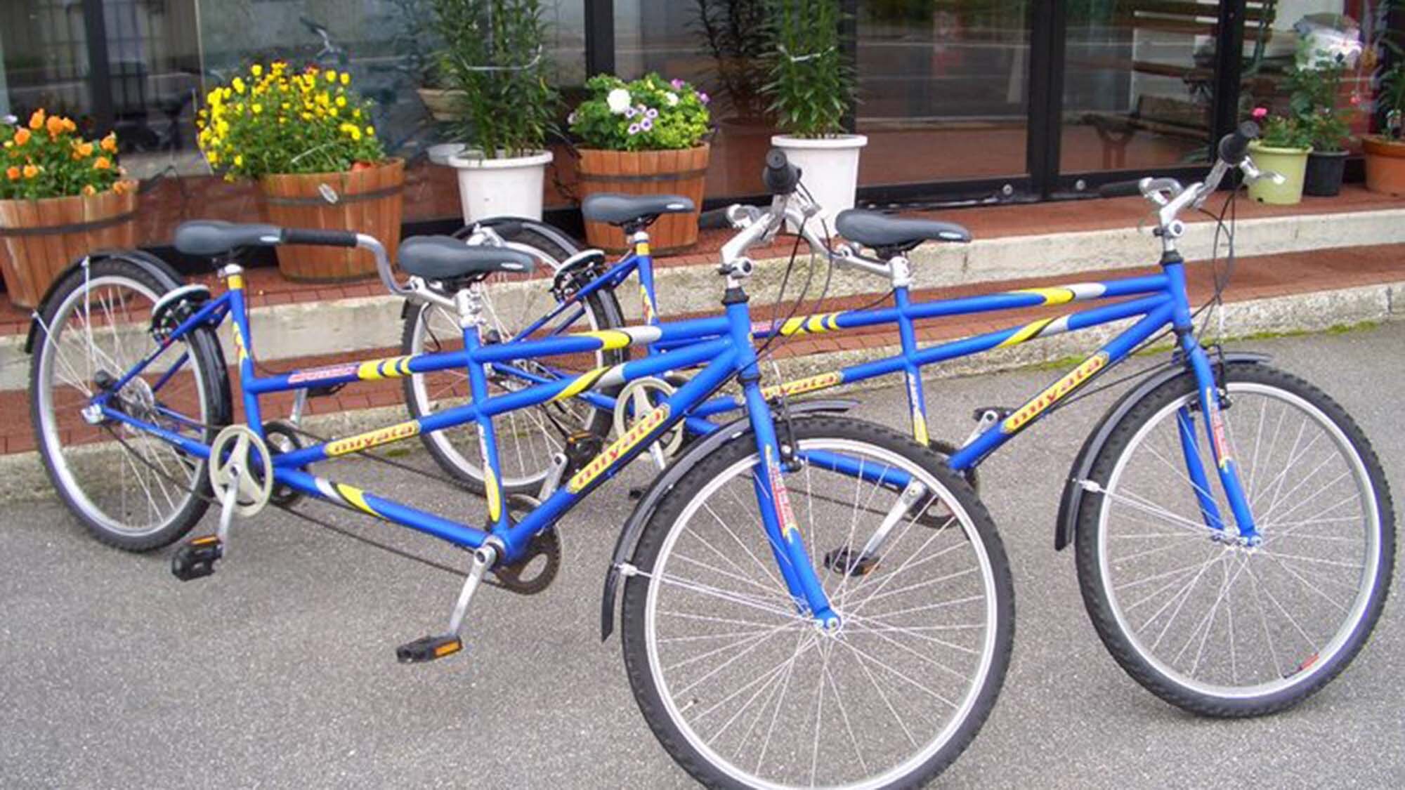 ・We have bicycles available for rental at our hotel for a fee (reservations not accepted)
