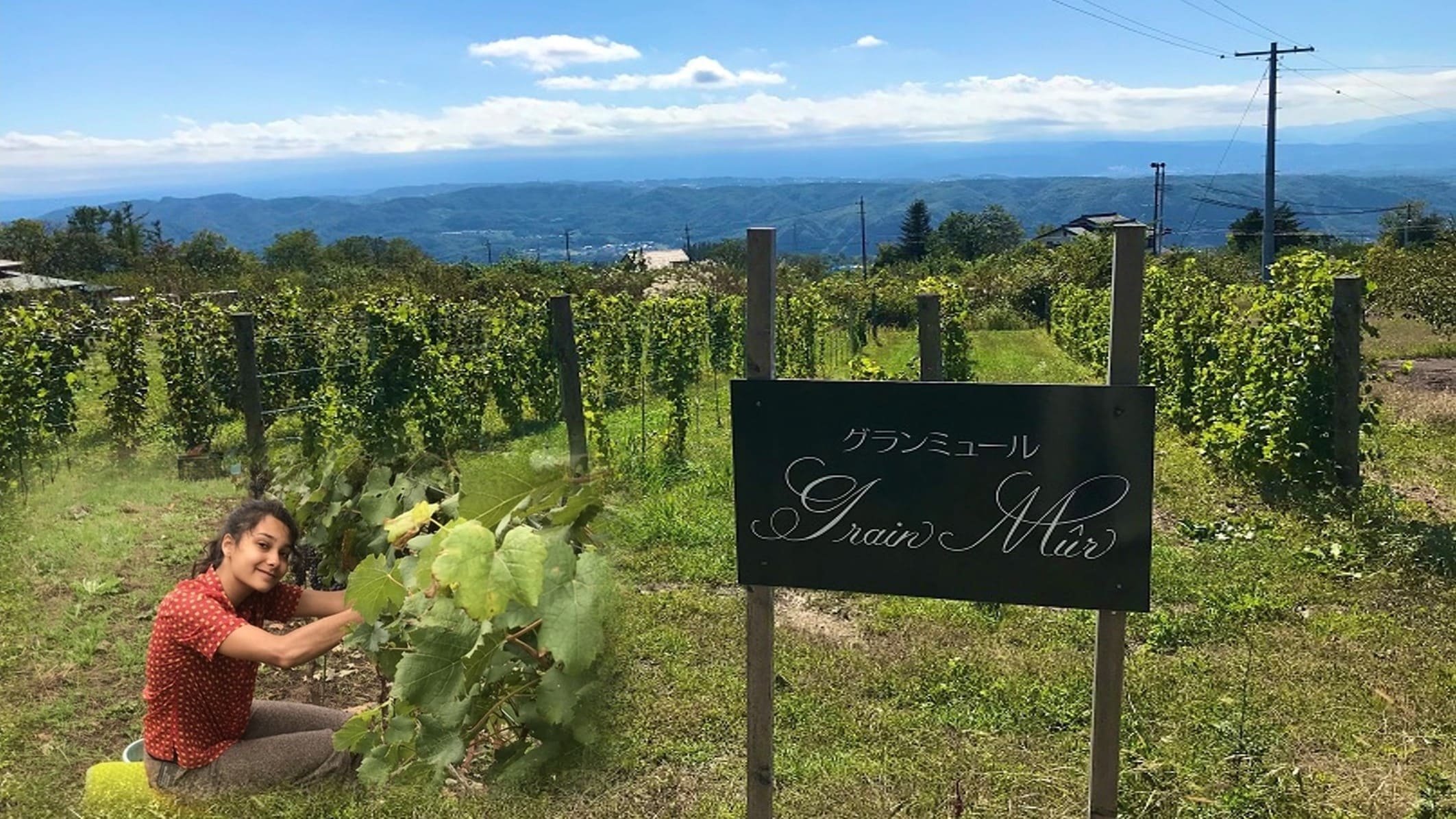 Seiunkan Winery
