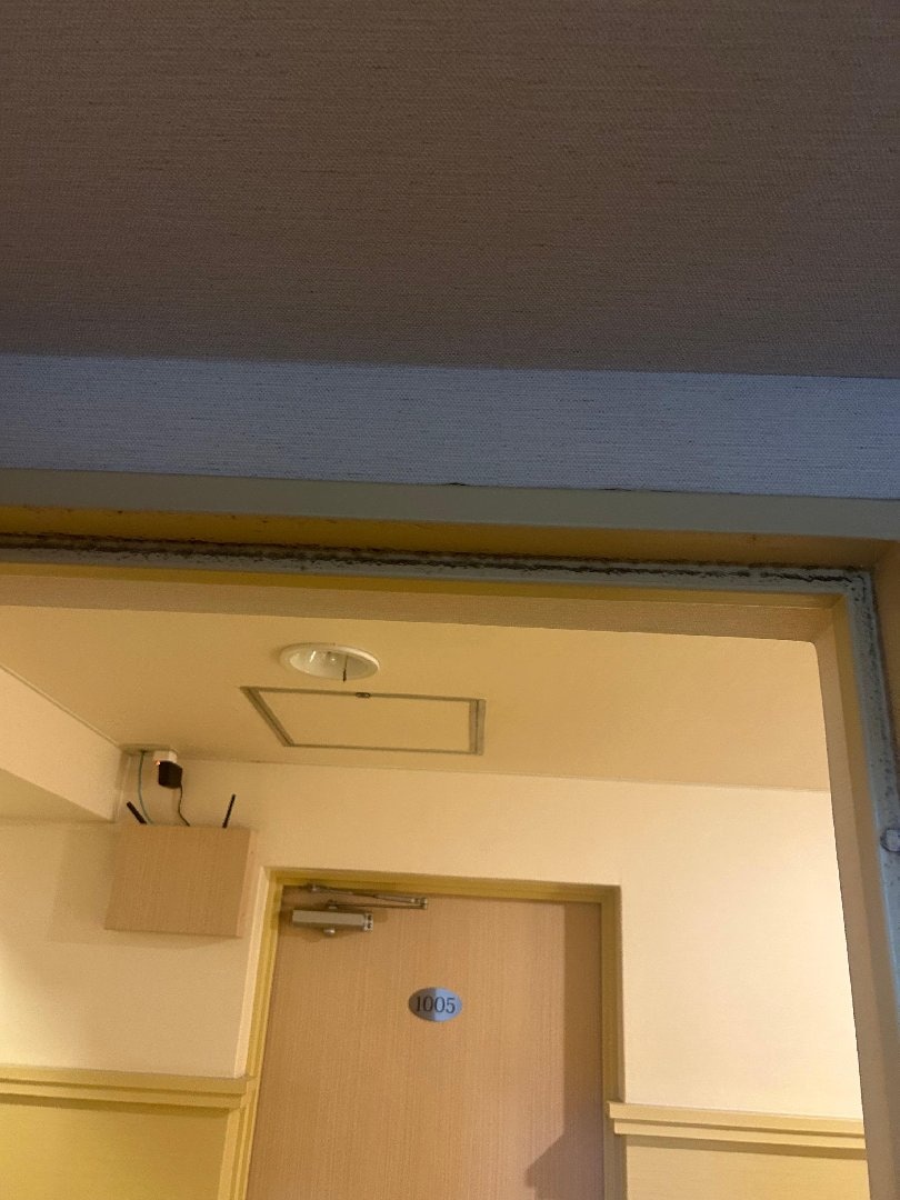 C3D2798B-843A-4008-9123-68E33DF5D667.jpeg