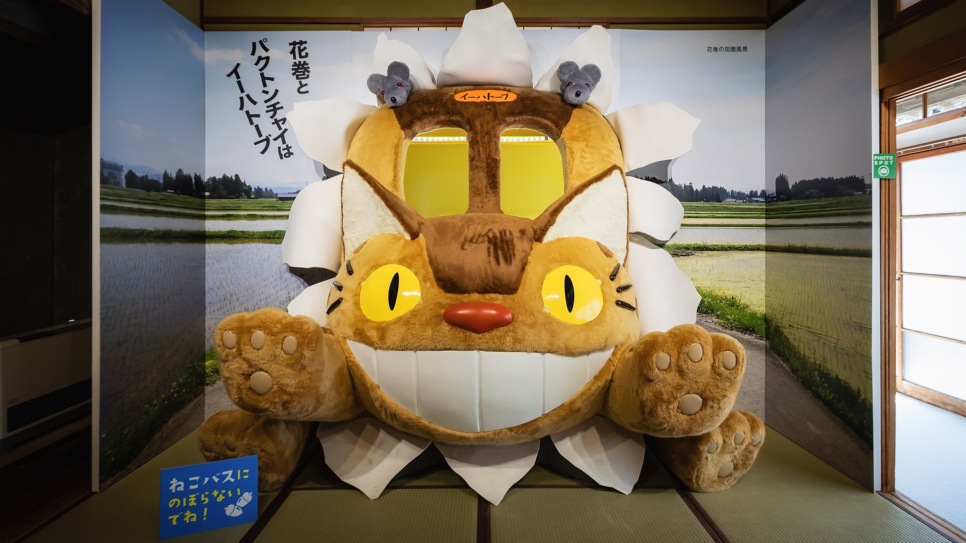 特別展「宮沢賢治生誕130周年記念トトロとジブリとカンヤダと」2026年12月6日まで開催