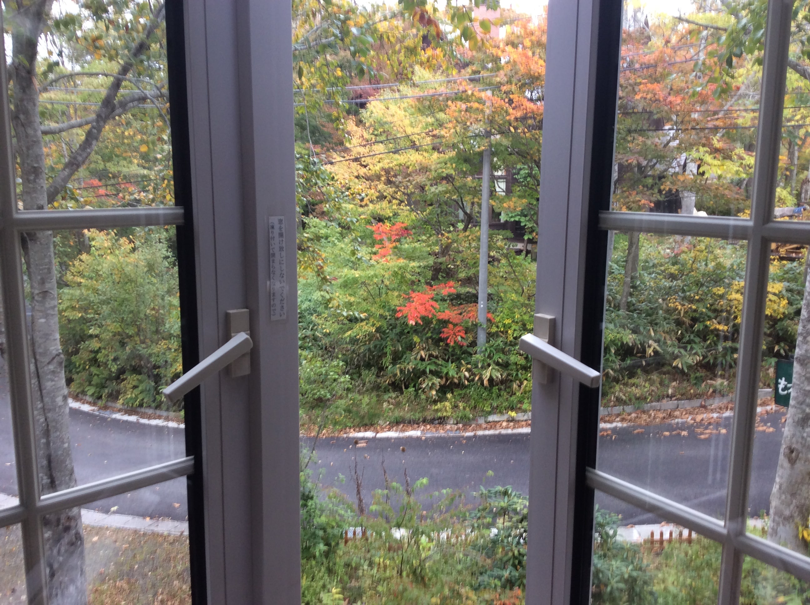 View from one of the guest rooms