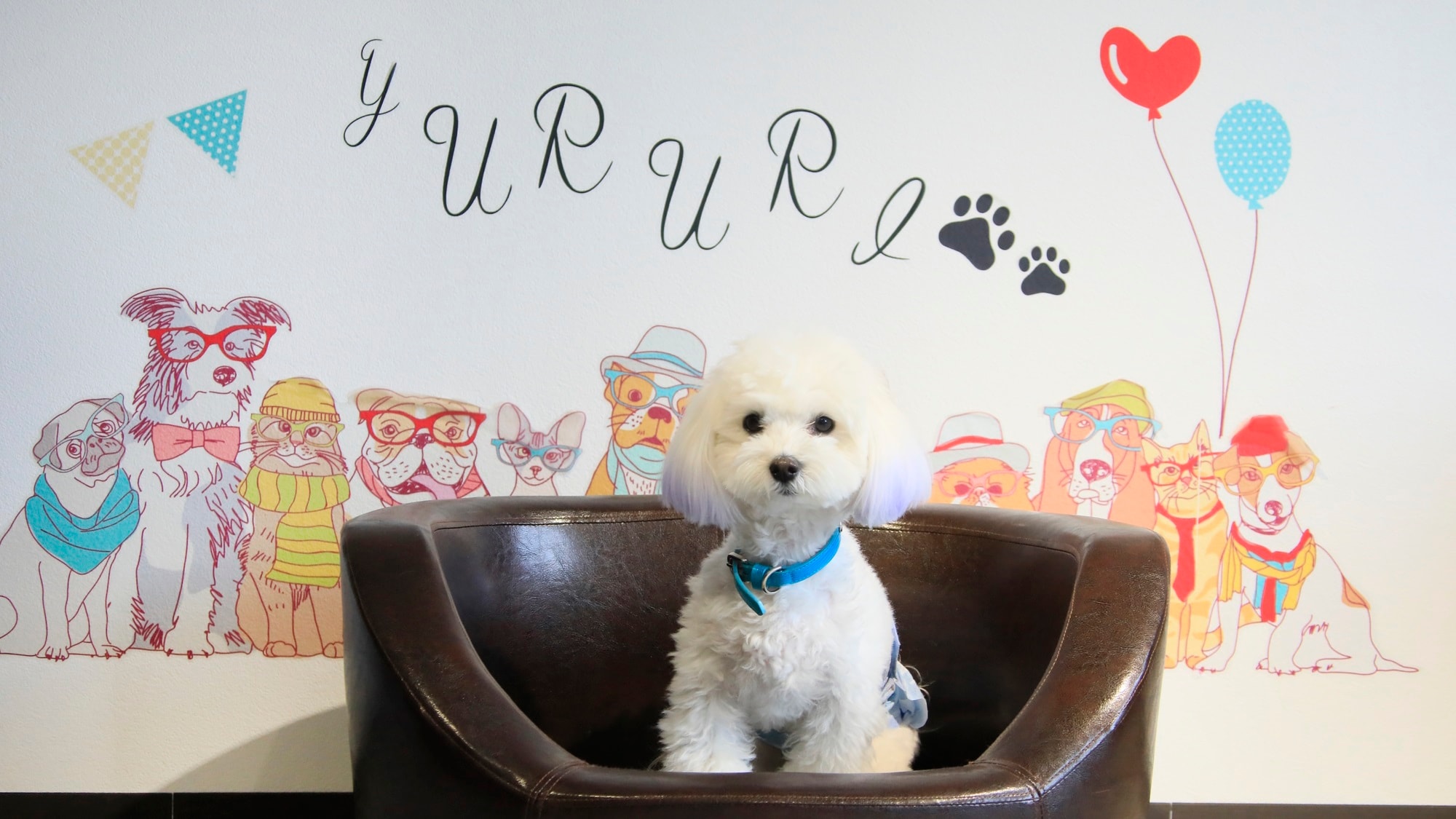 Photo spot ◆Also available in the indoor playground