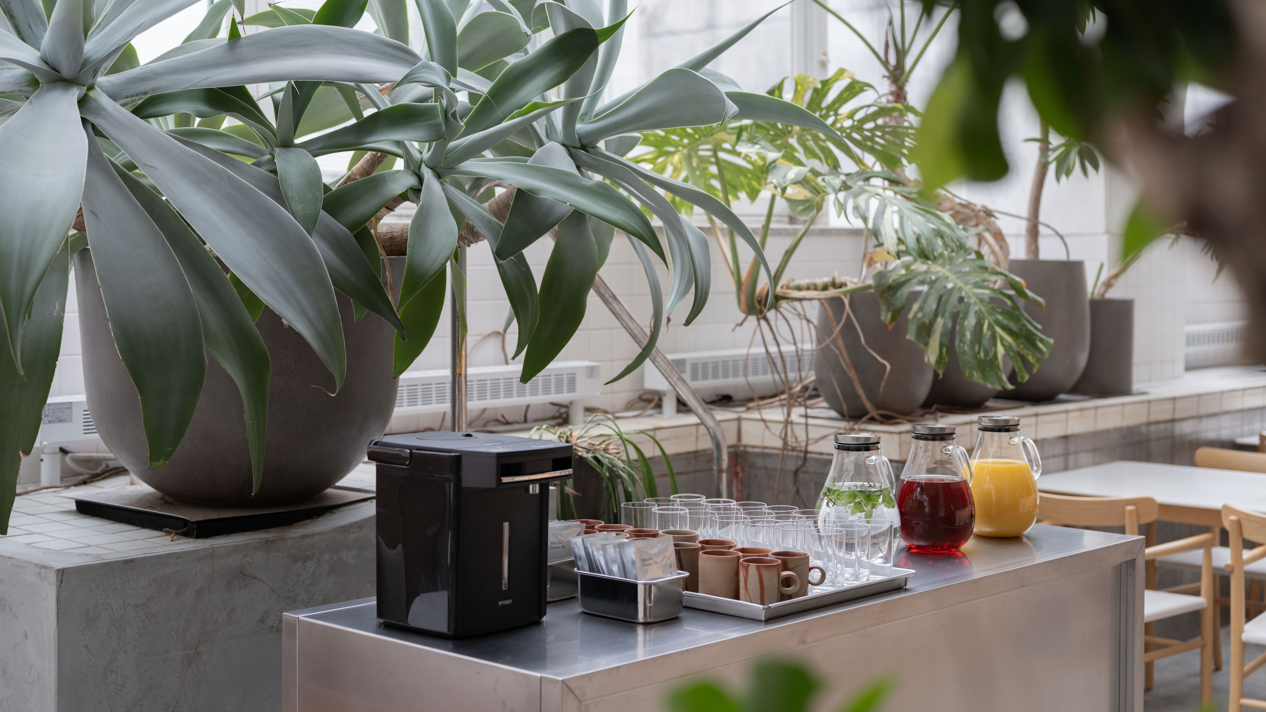 THE POOLSIDE (GUEST LOUNGE)