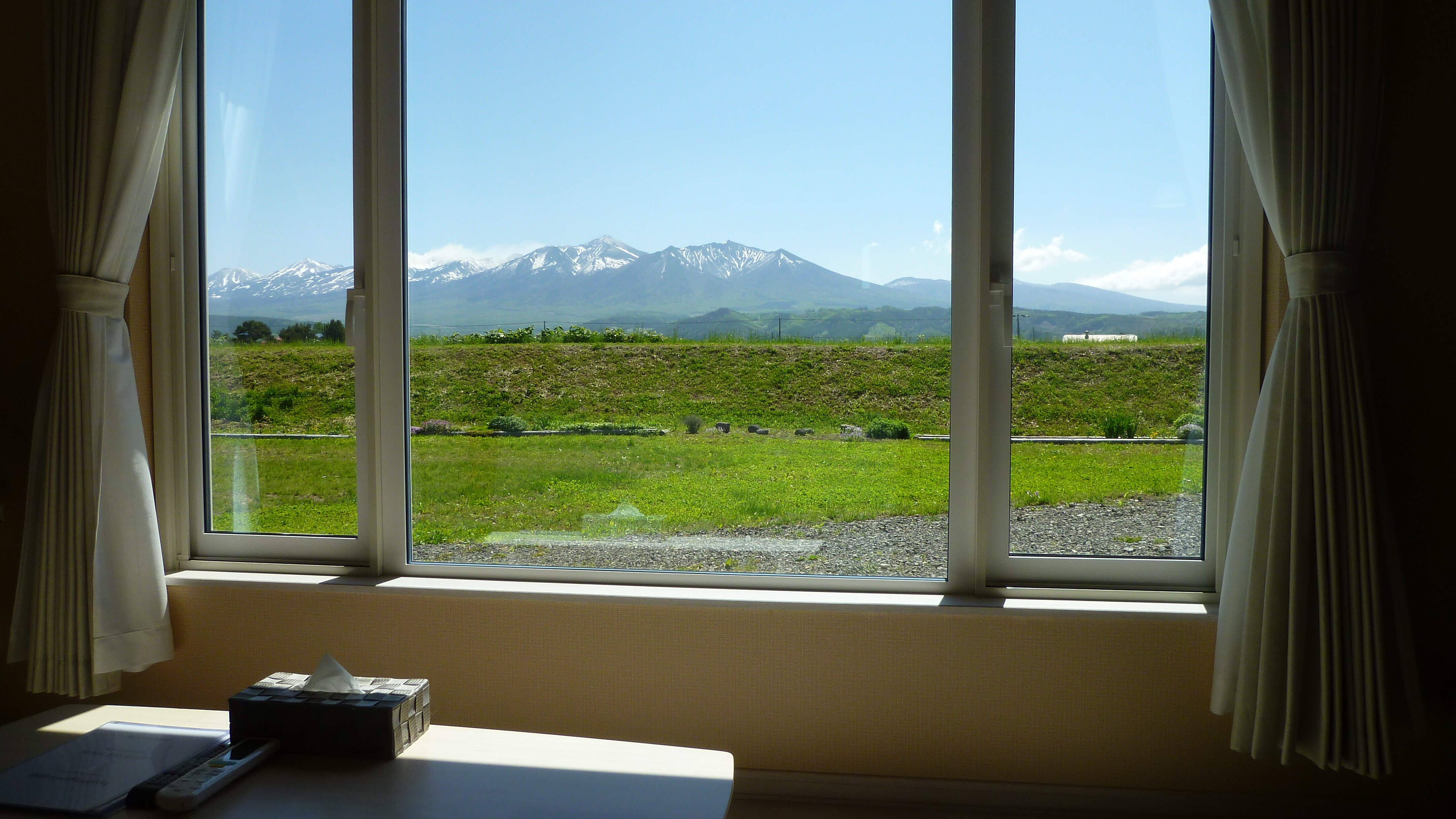 Living room window