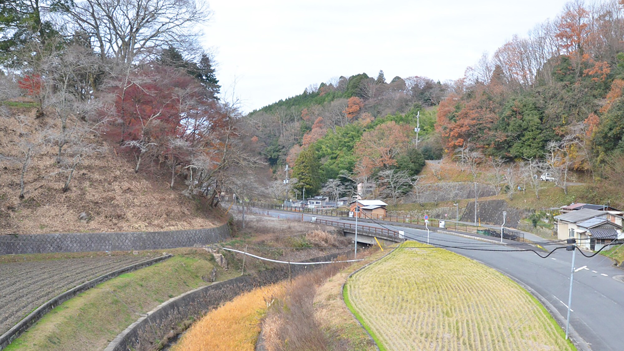 * <Example of room> Some rooms have a nice view of nature ♪