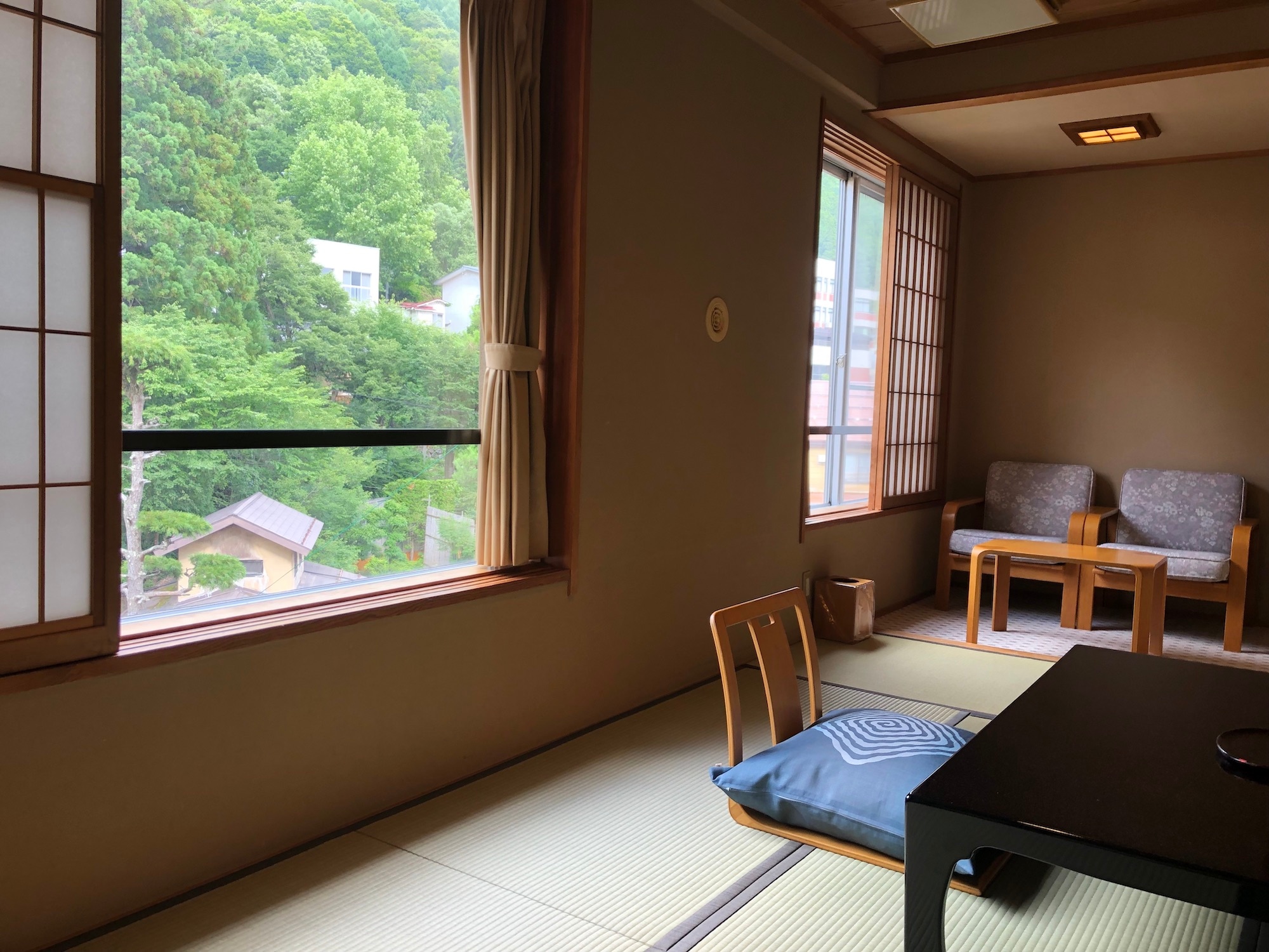Compact Japanese-style room
