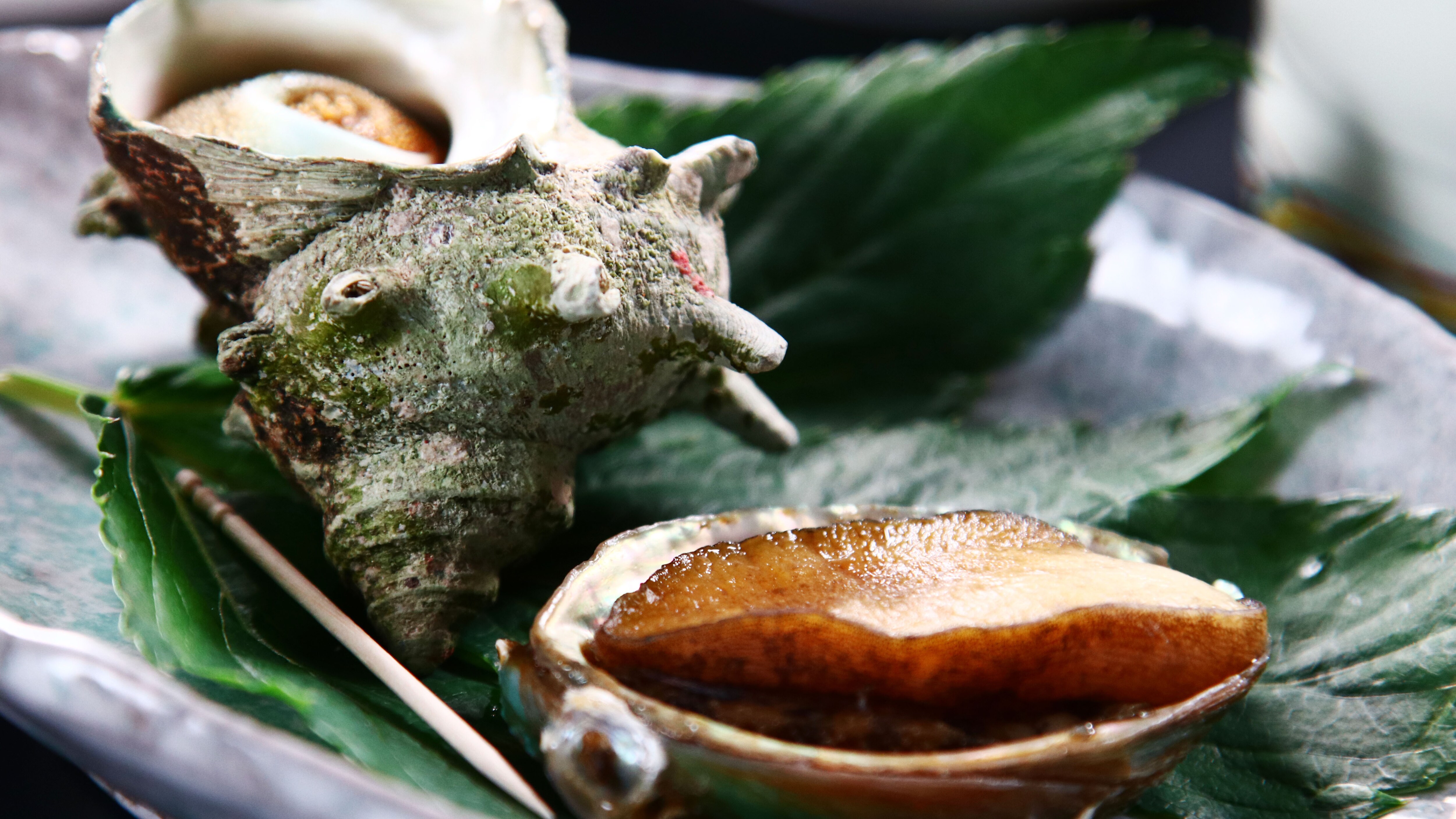 Meals: The delicious taste of the sea spreads in your mouth