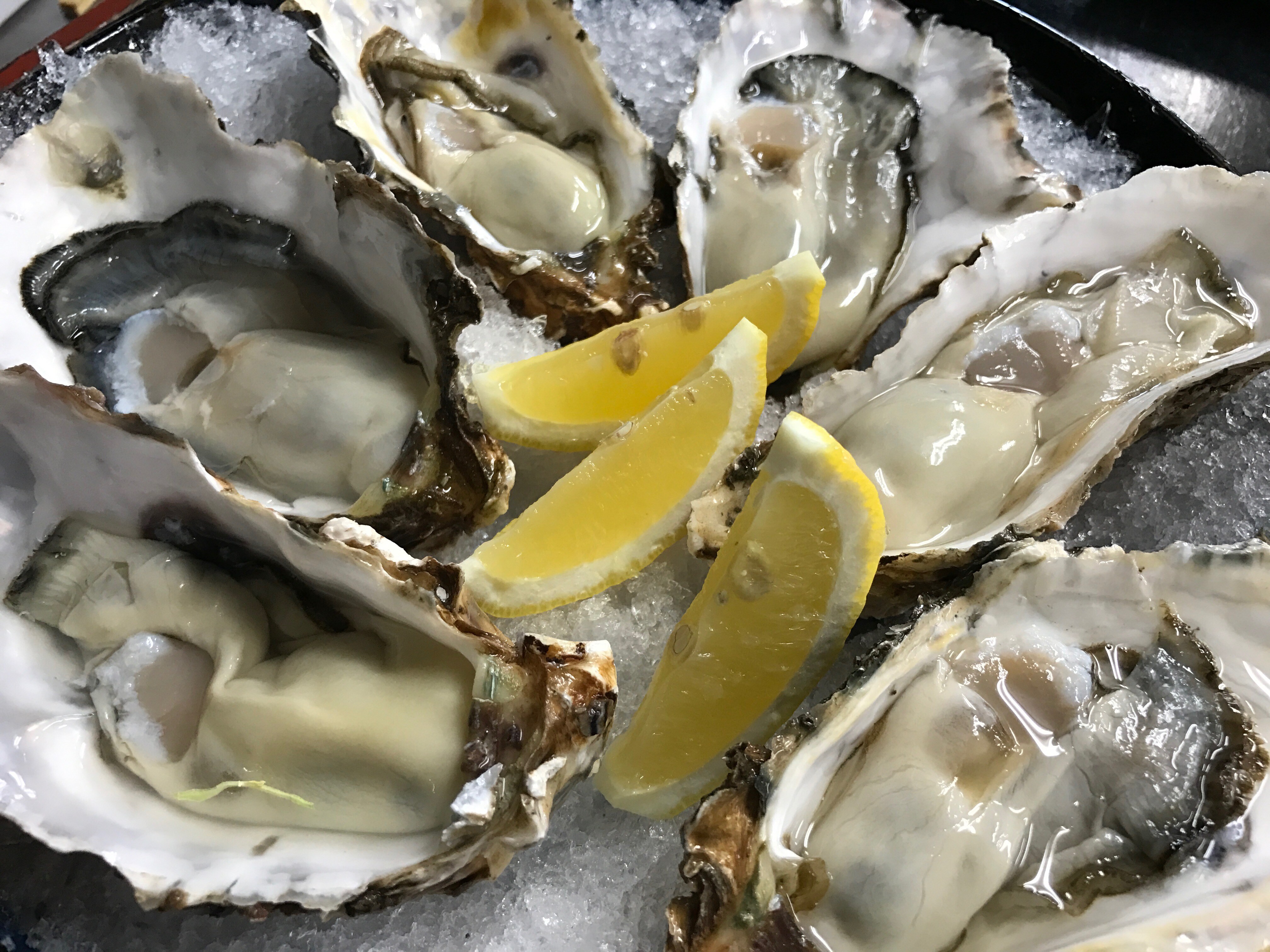 Raw oysters