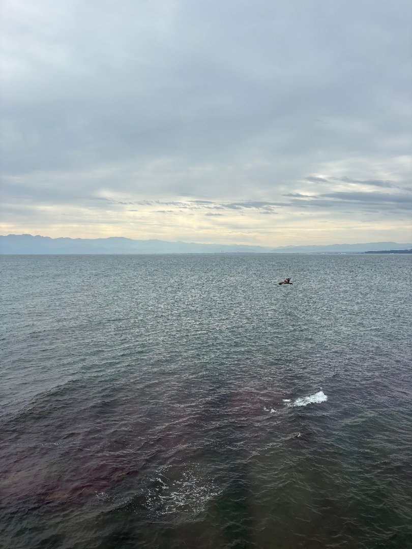 IMG_7052.jpeg