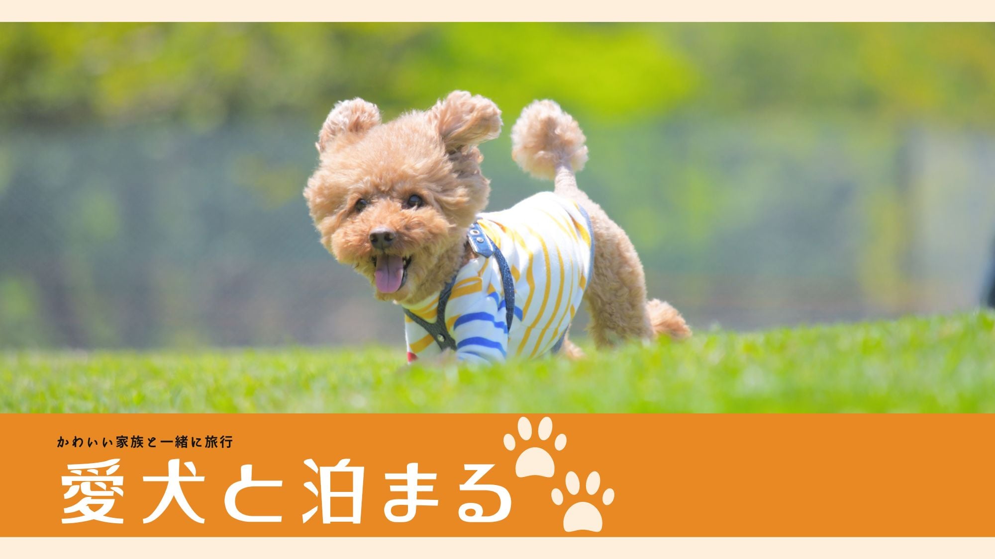 Pet Plan