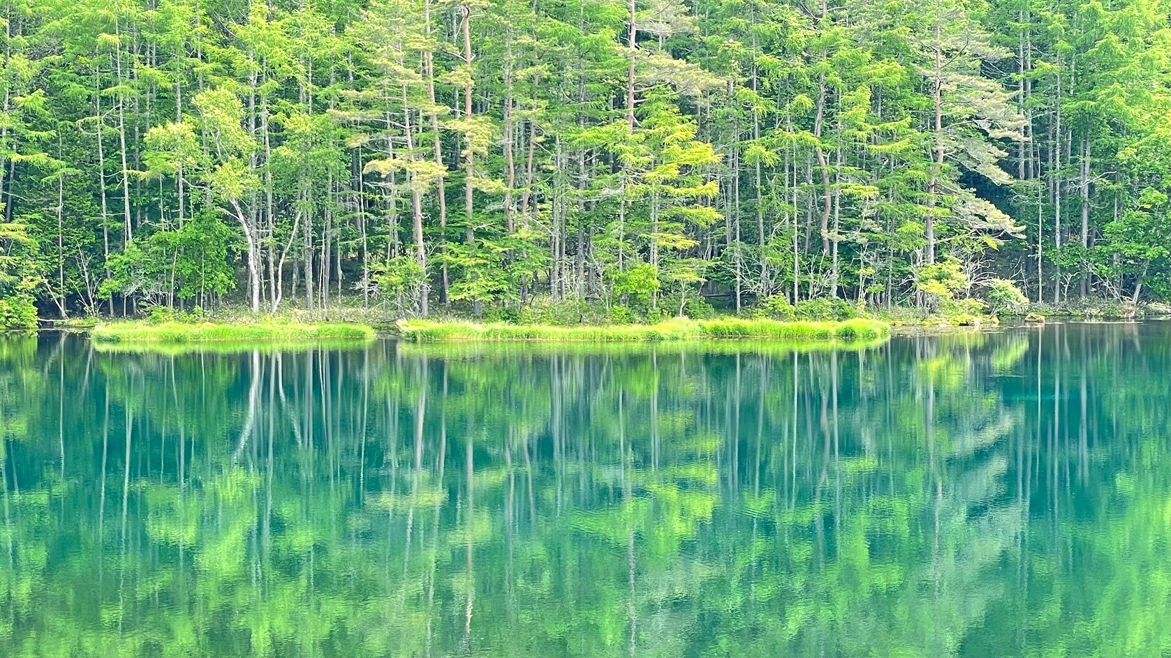 Mishaka Pond