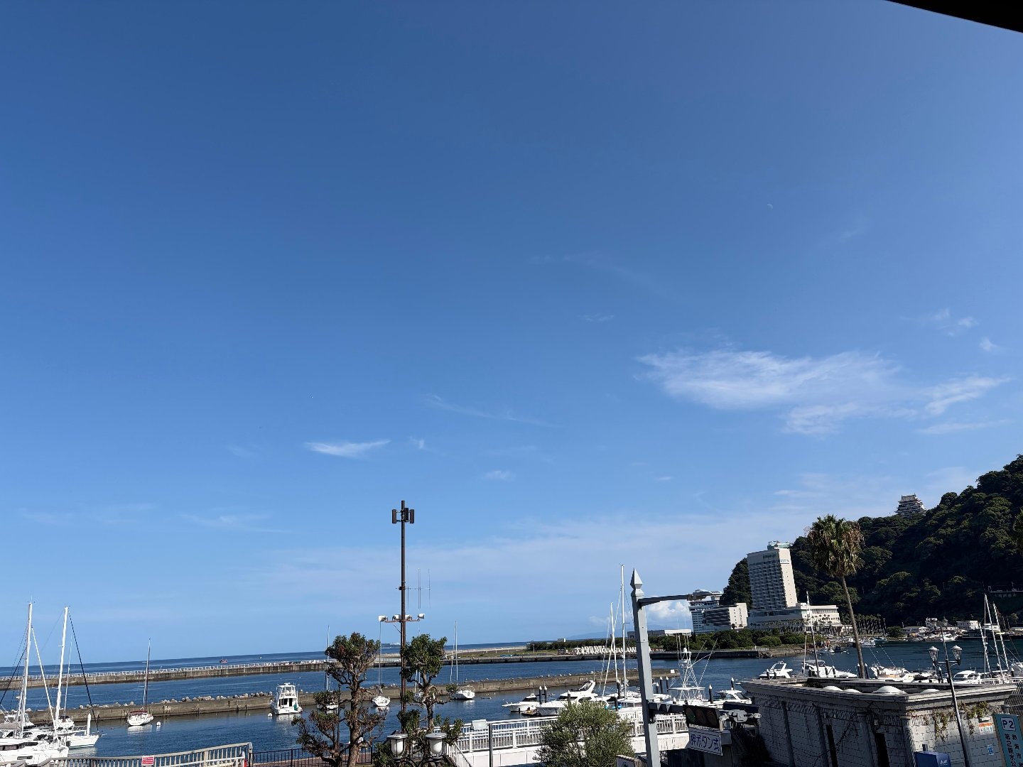 199177EE-61EC-4358-BAC7-DF56356D73CE.jpeg