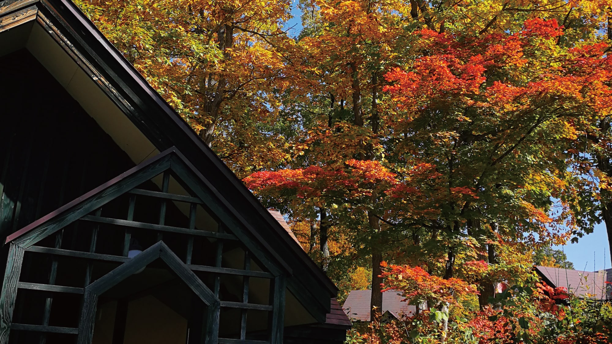 Autumn leaves season cottage