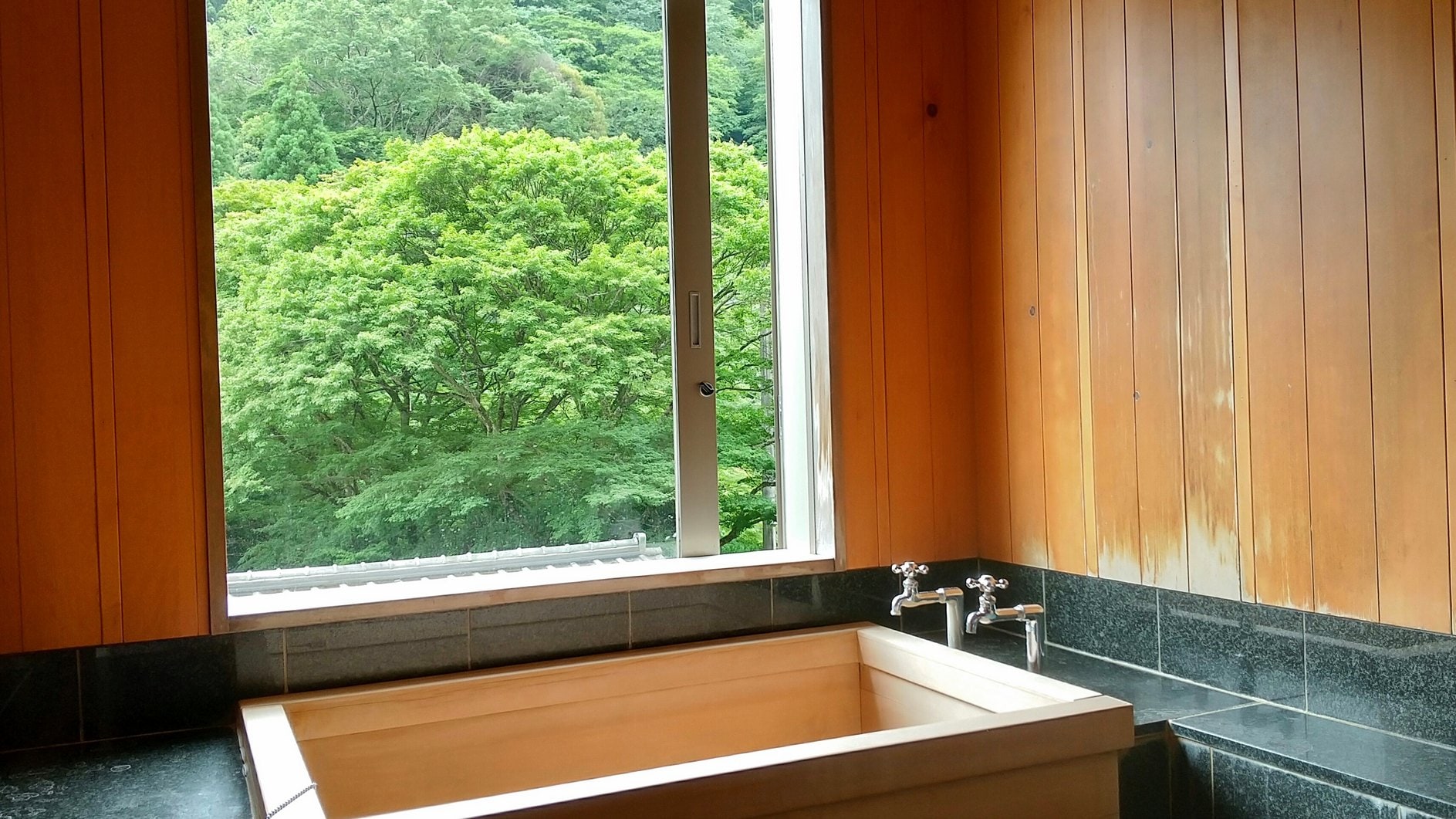 Tancho Room Indoor Hot Spring Bath