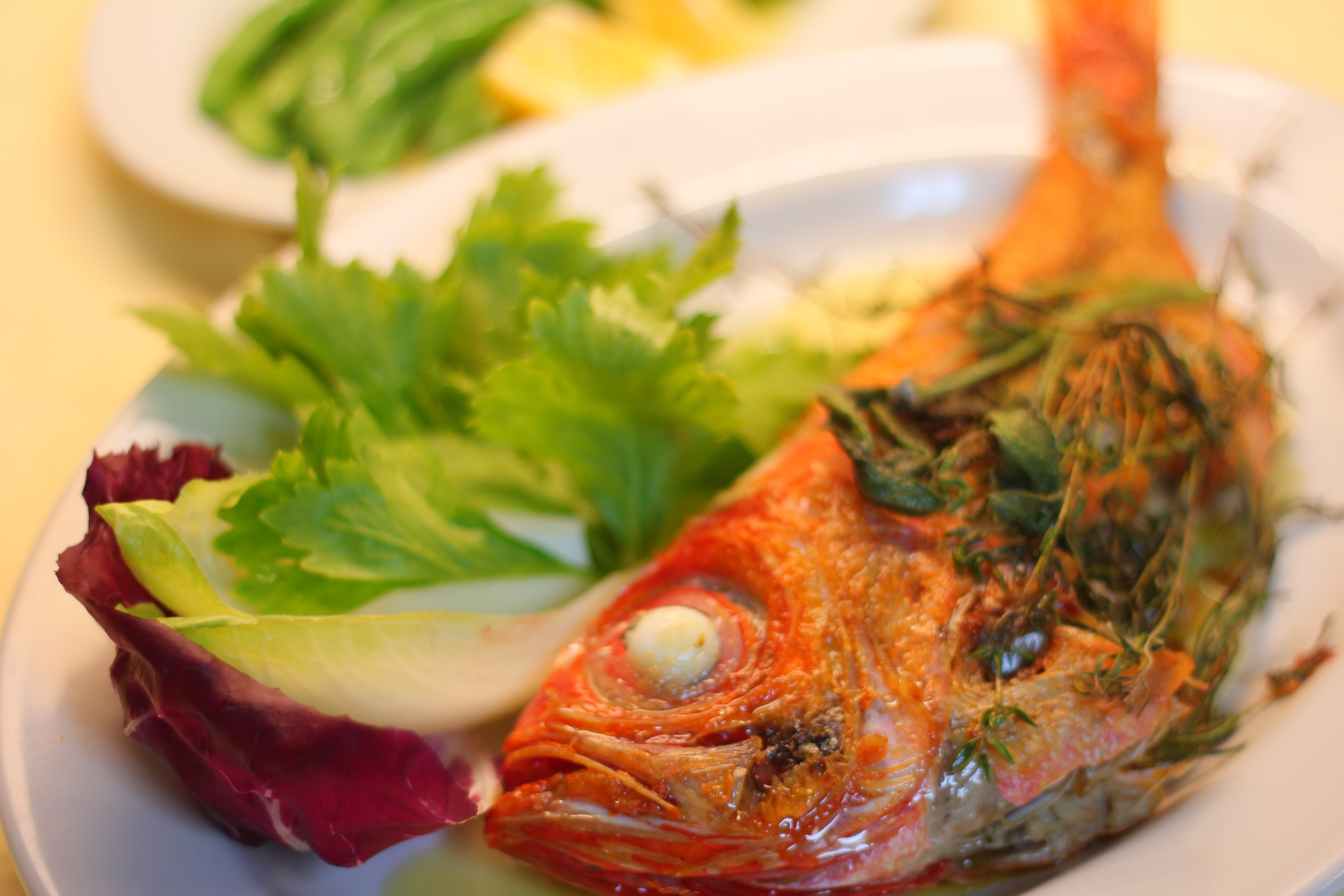 Dinner: An example of a fish dish