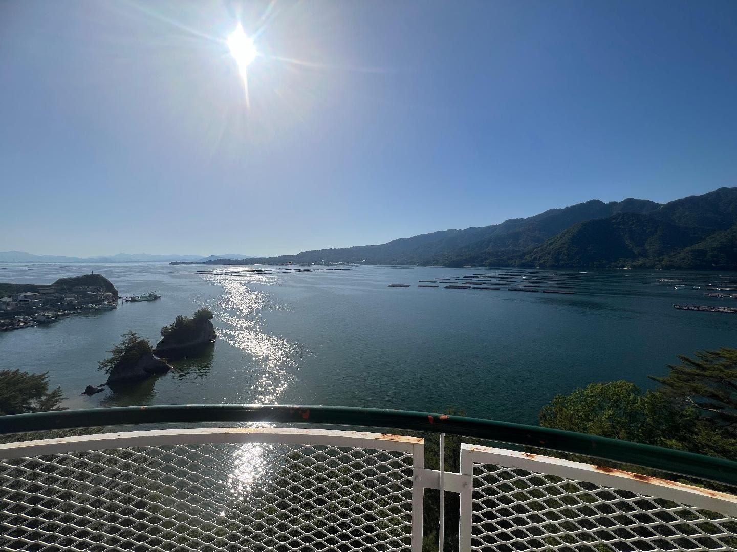 CA28063C-0B69-46F0-A8B8-B481674195E1.jpeg