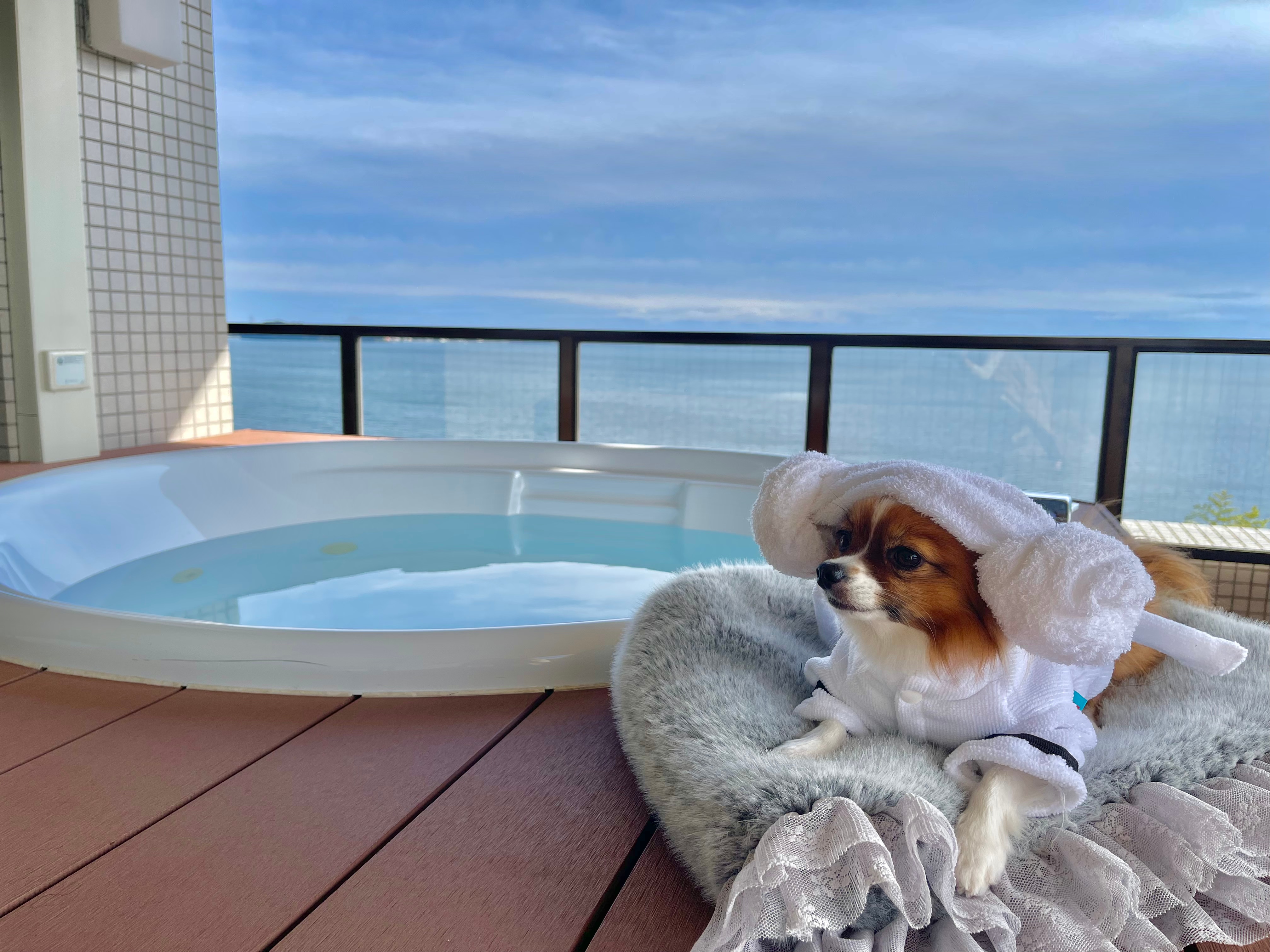 Suite Type H (Dogs not allowed)