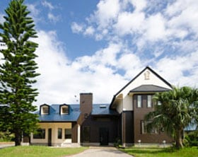 Appearance image