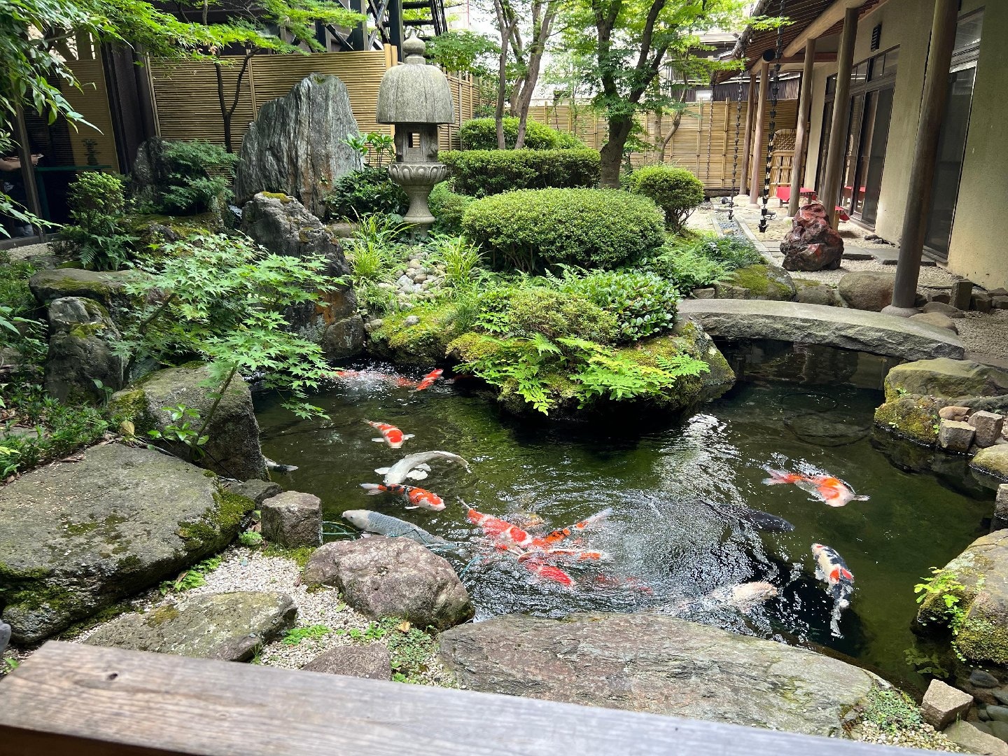 414D2683-1AAA-4DF3-93D9-960759AEC70C.jpeg