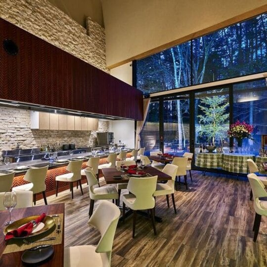 [Salon de Forest] Enjoy your meal while feeling the nature spreading out beyond the window. *Image