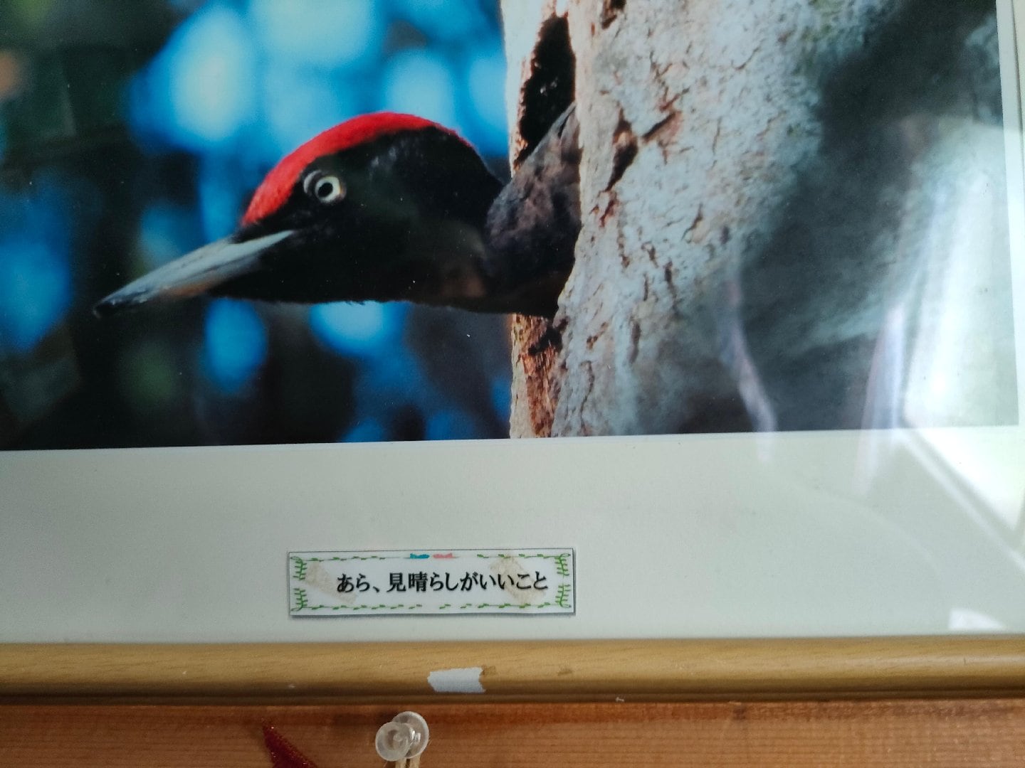 IMG20260708104223.jpg