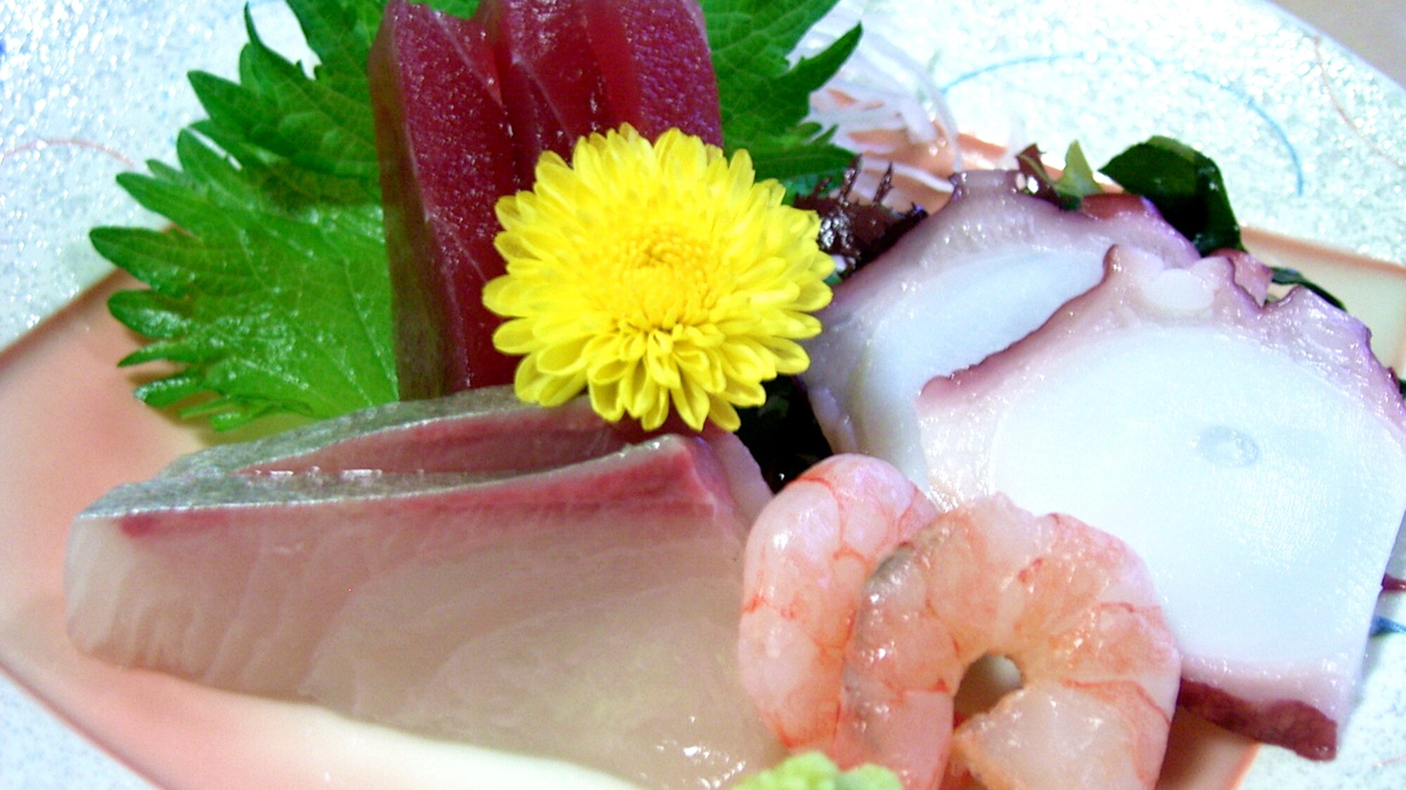 *生魚片