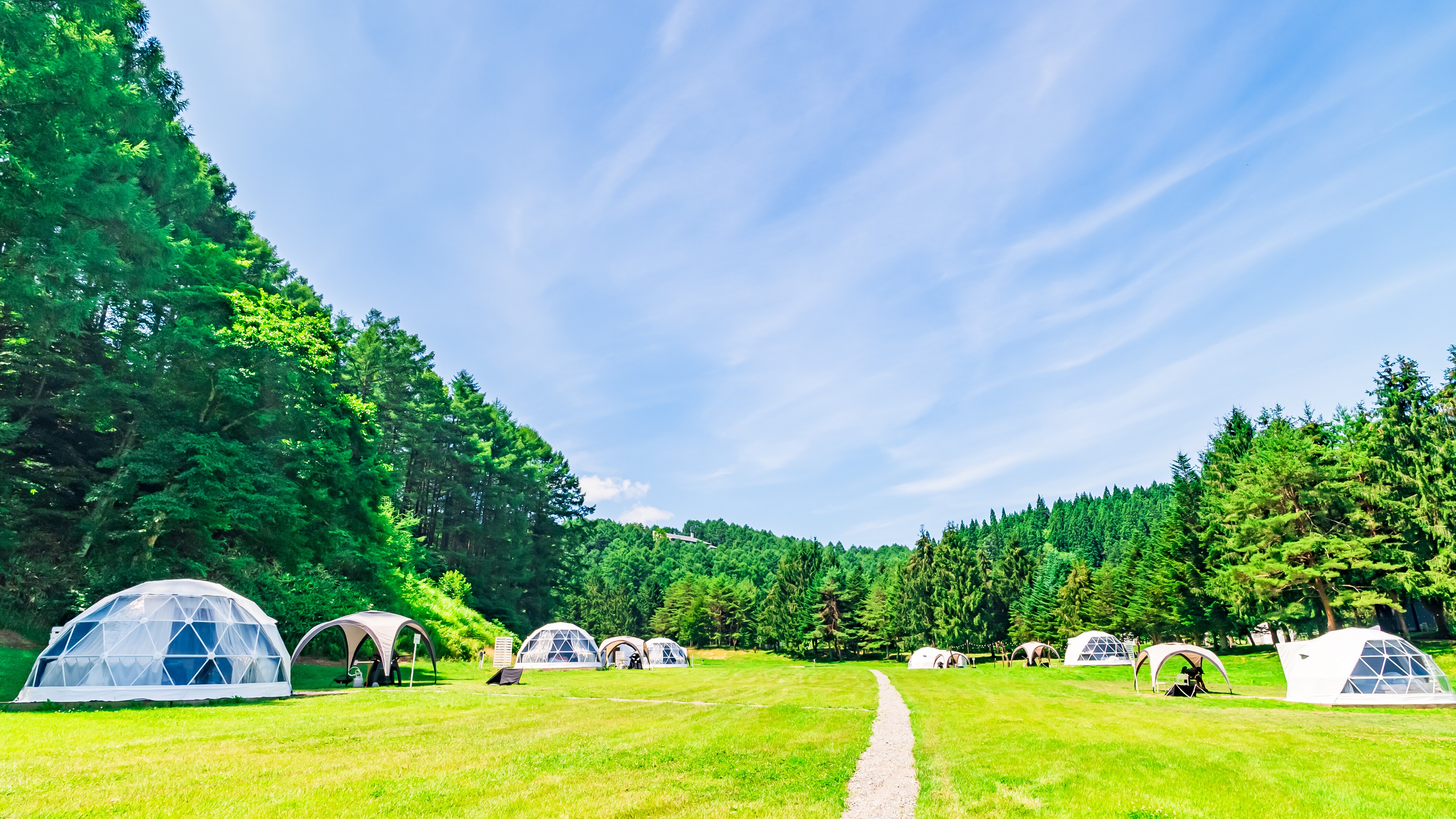 FOREST SIDE