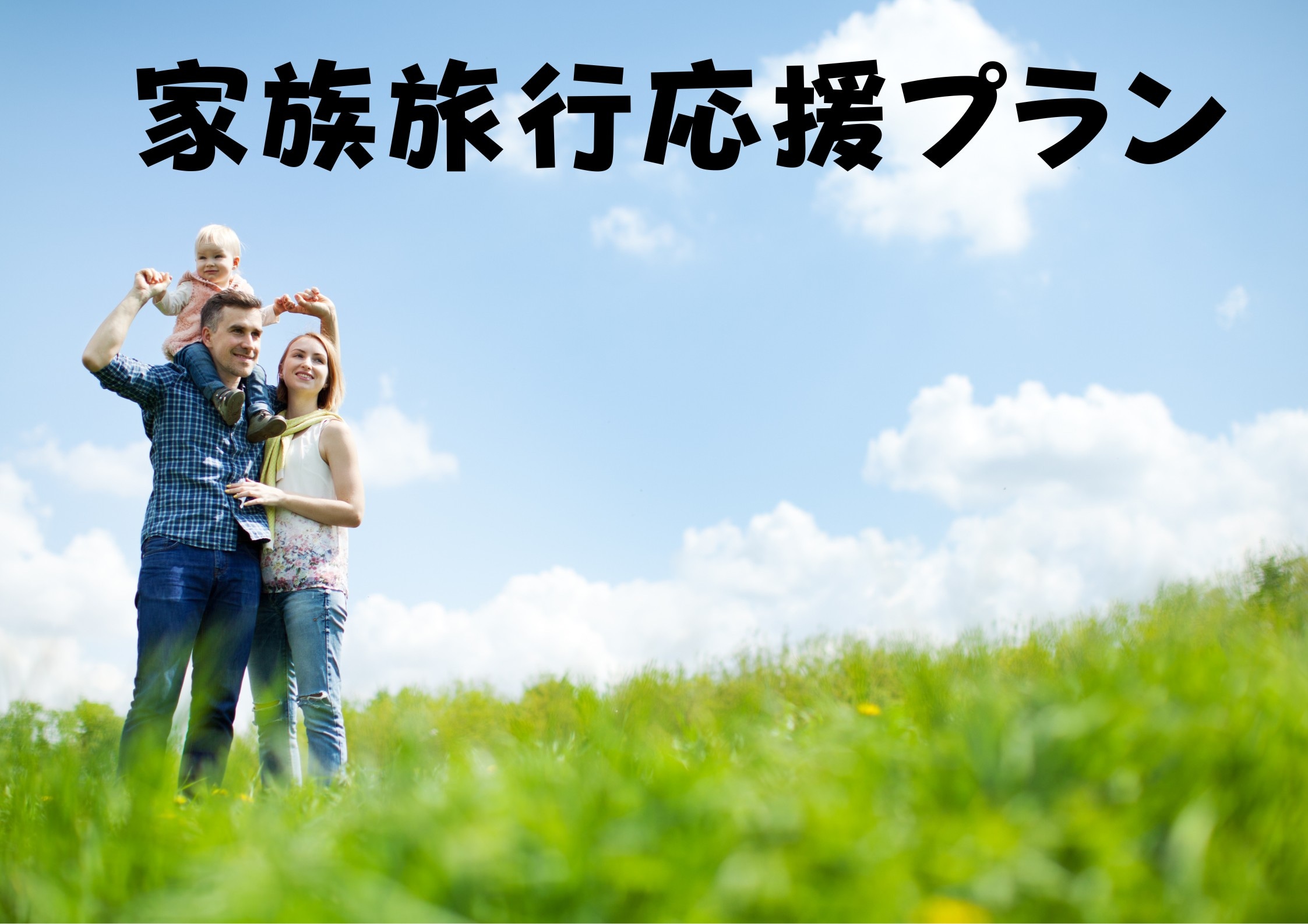 Family Travel Support Plan