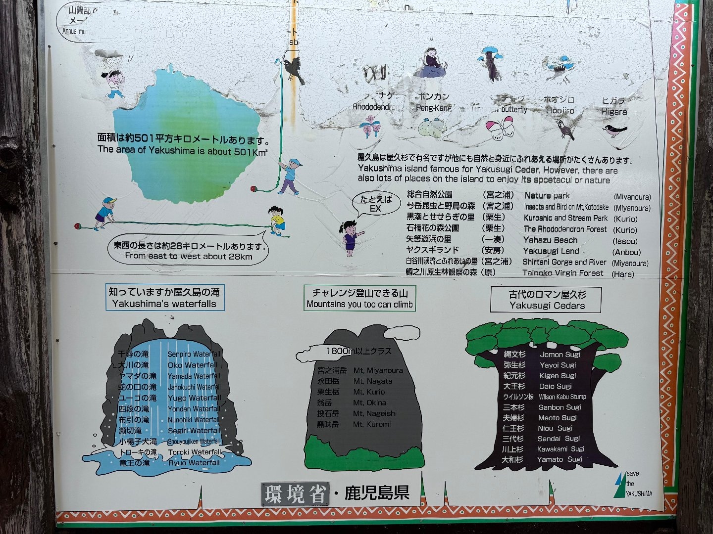C02F0F48-8443-40AC-978F-13C4351A2193.jpeg