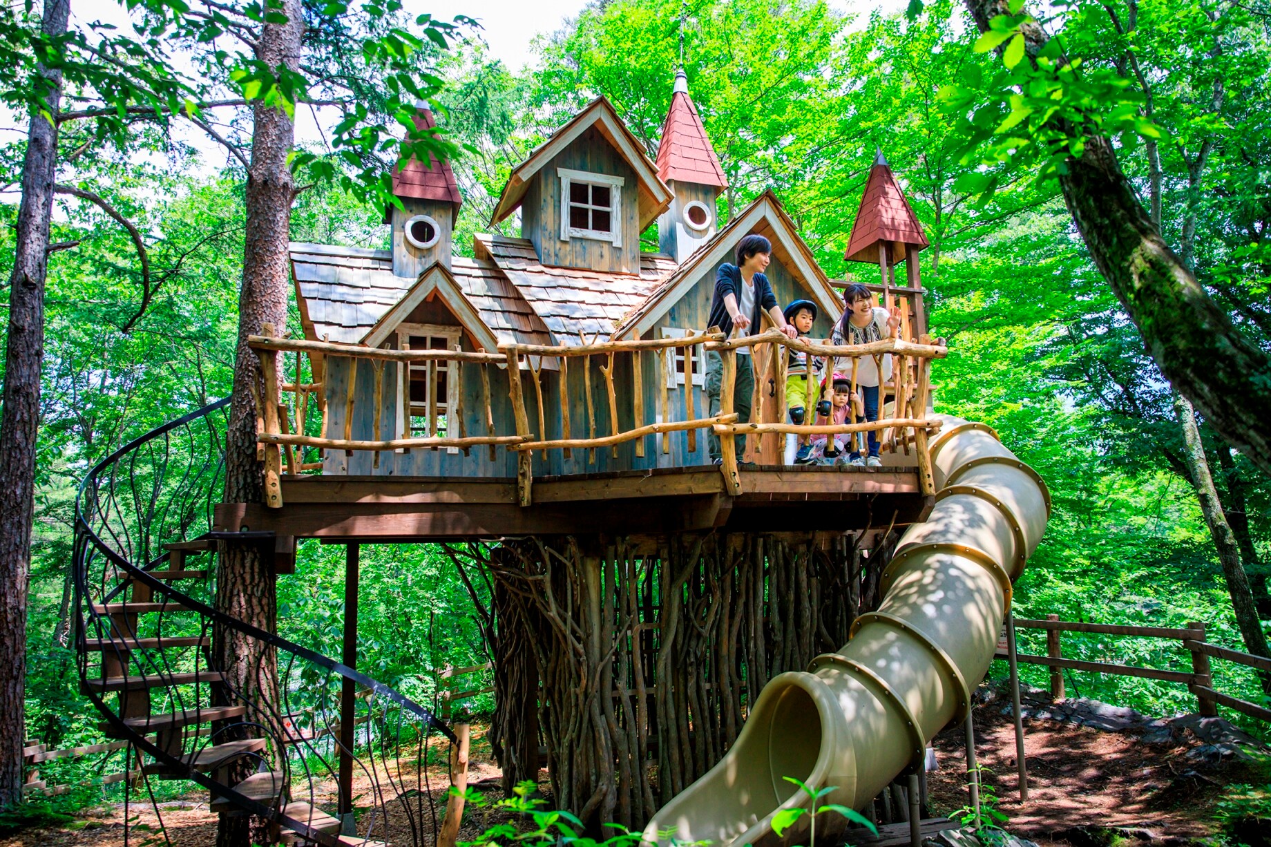 Exciting Adventure Forest
