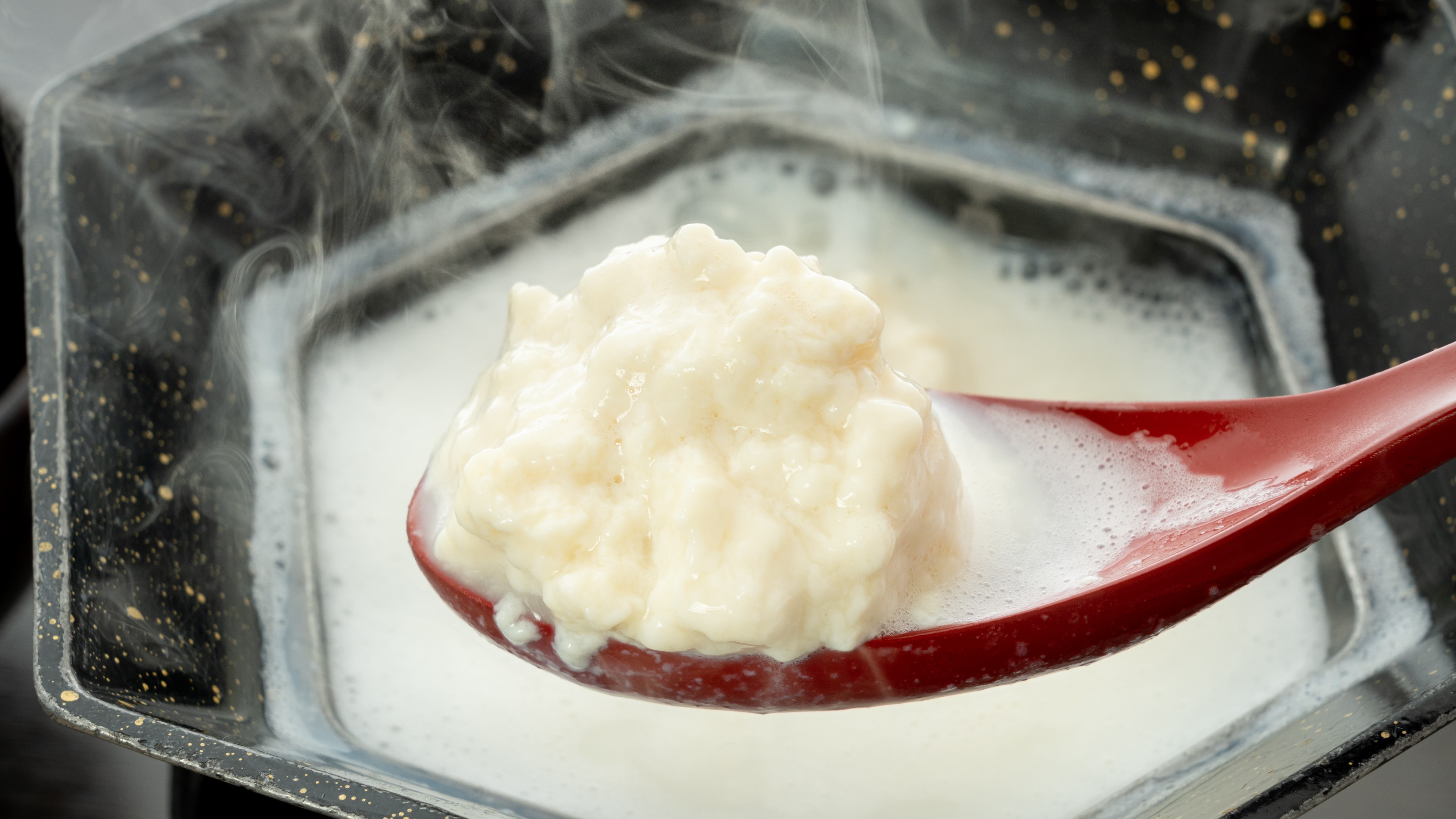 Ureshino's specialty hot spring tofu