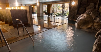 Hot spring image for TOP (river whispering large communal bath)