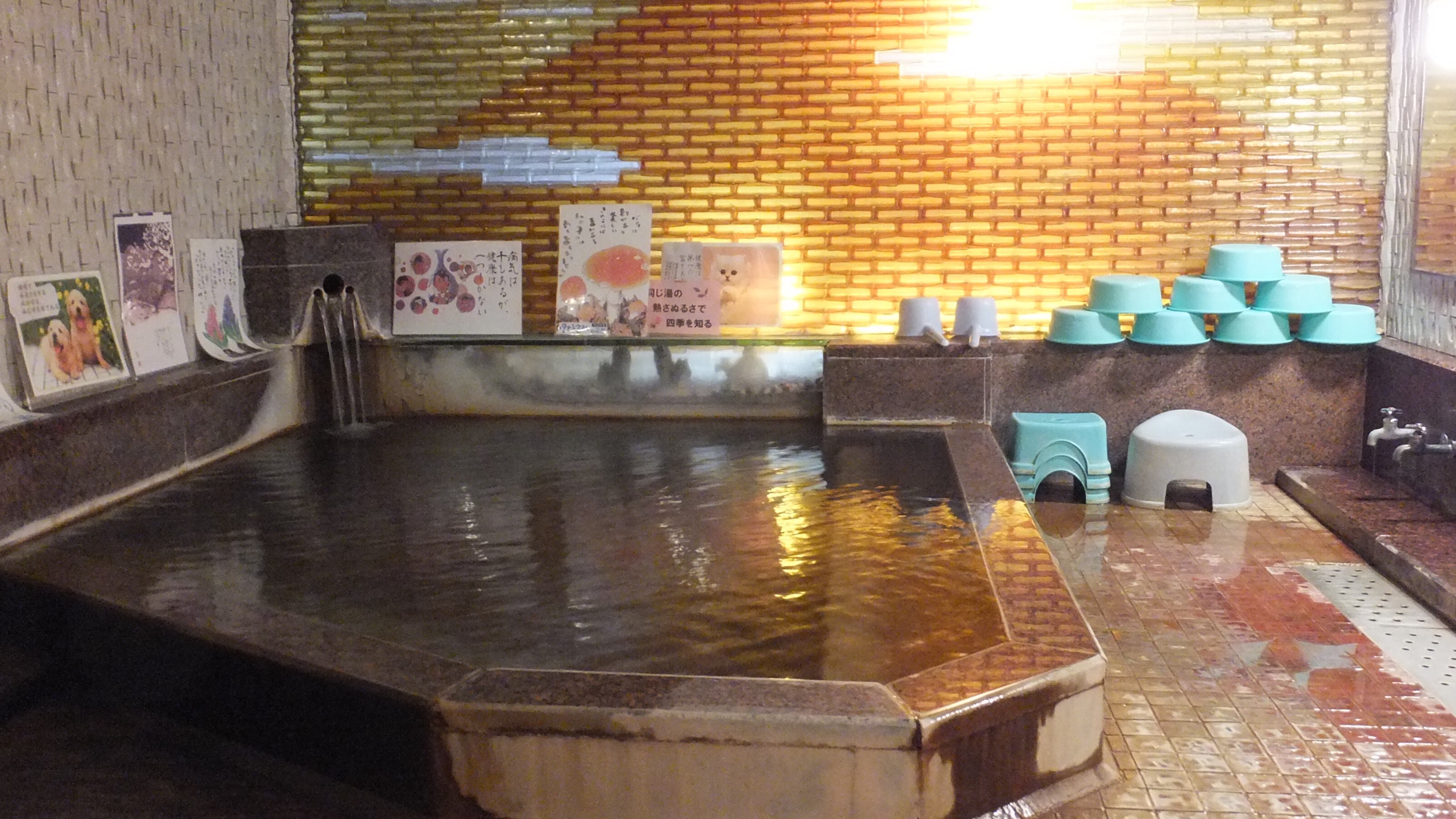 Hotel information and reservations for Hinagu Onsen Shiranui Hotel