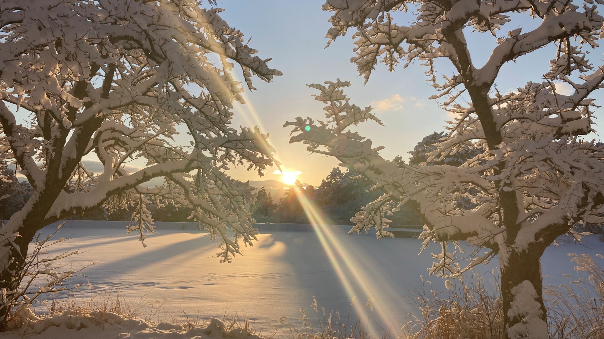 *【大沼湖】雪景色の朝の一コマ。白銀の世界に光が差し込む、幻想的な冬の朝です