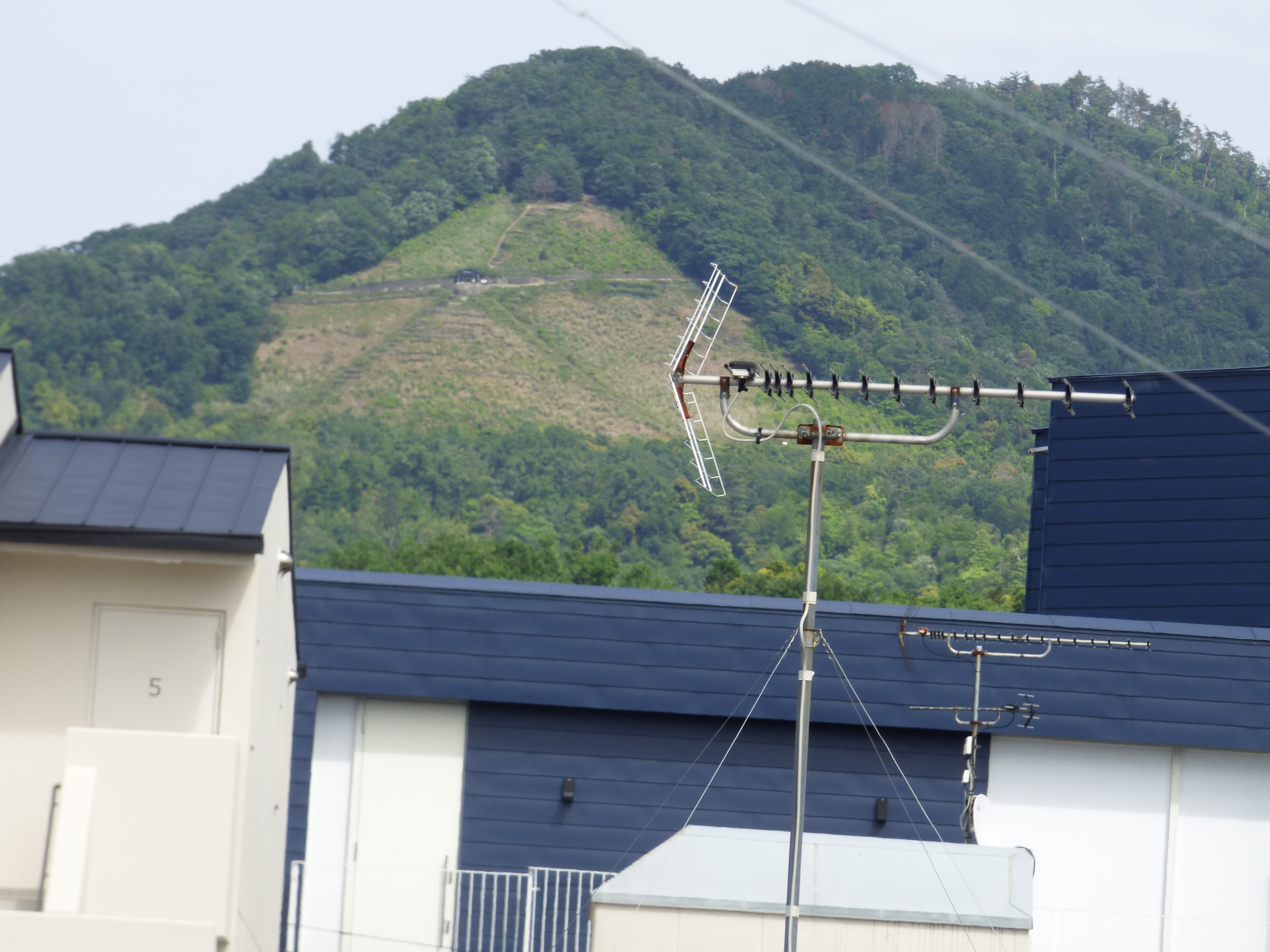 대문자산이 보이는