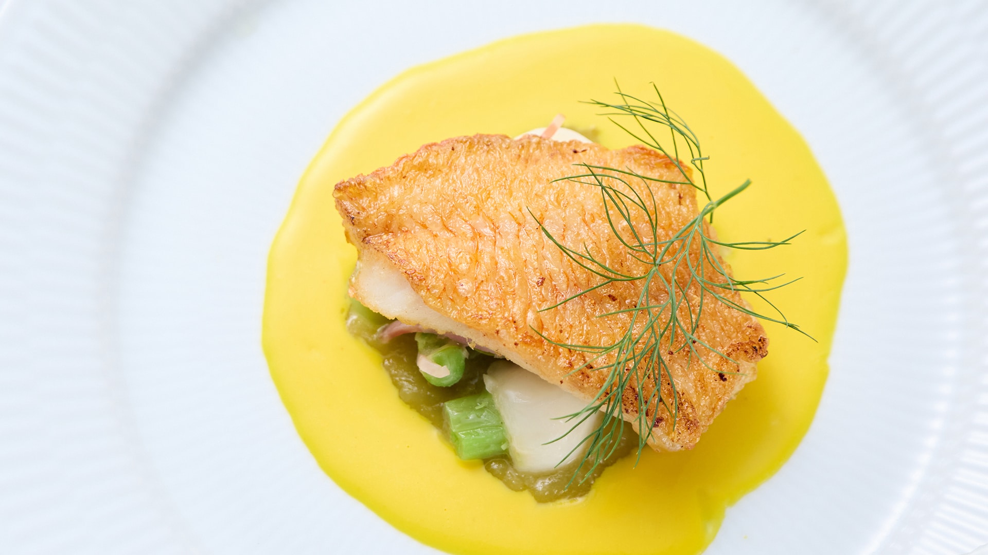 Yufuin French Dinner (Today's Fish) Example