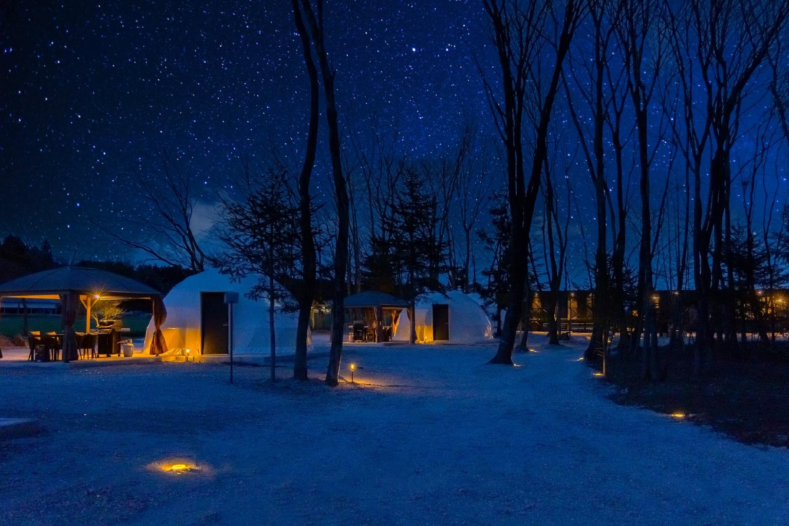 Night starry sky