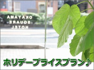 휴일 가격 플랜 배너